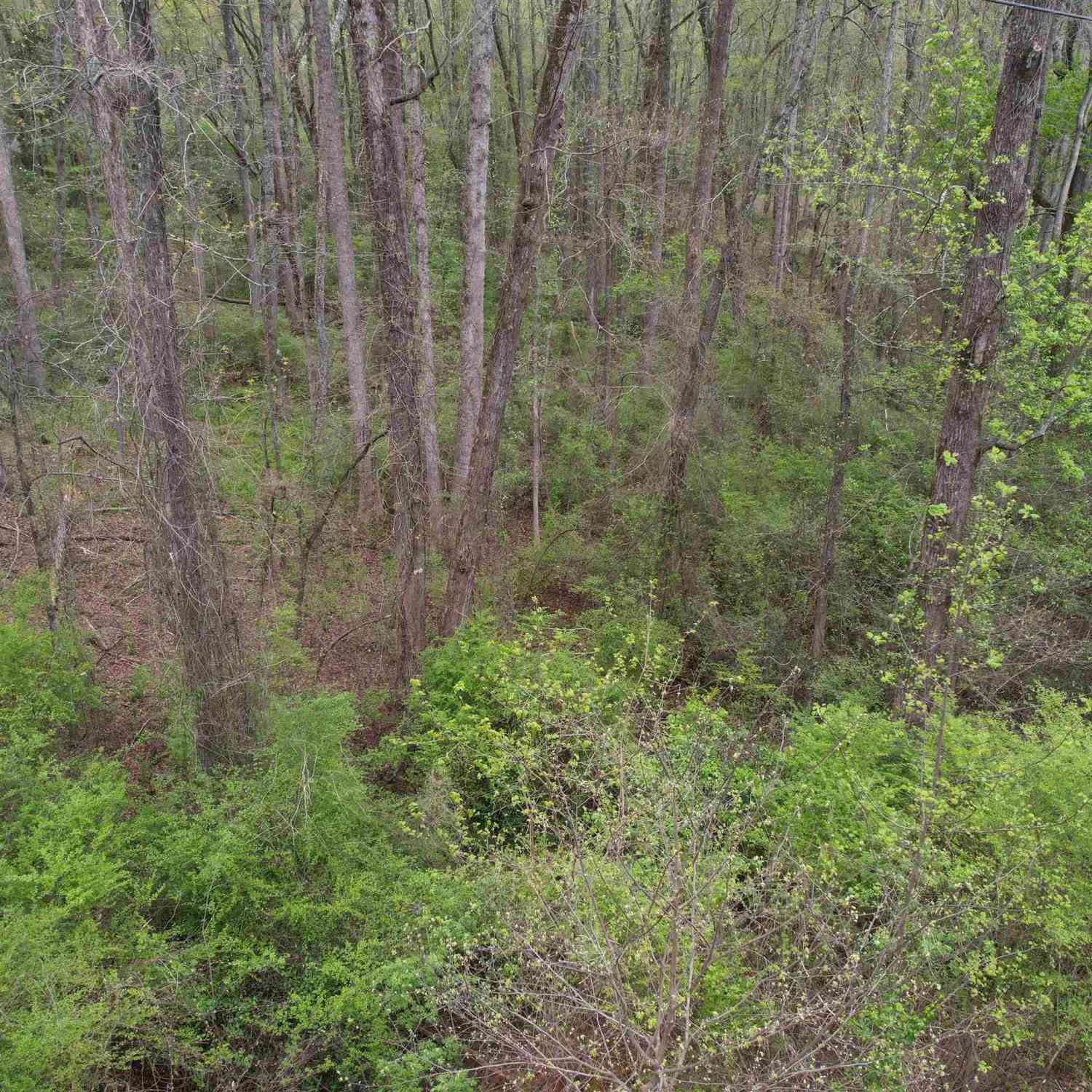 Vacant Land For Sale - 115 Dowell<br/> Anderson, SC 29626