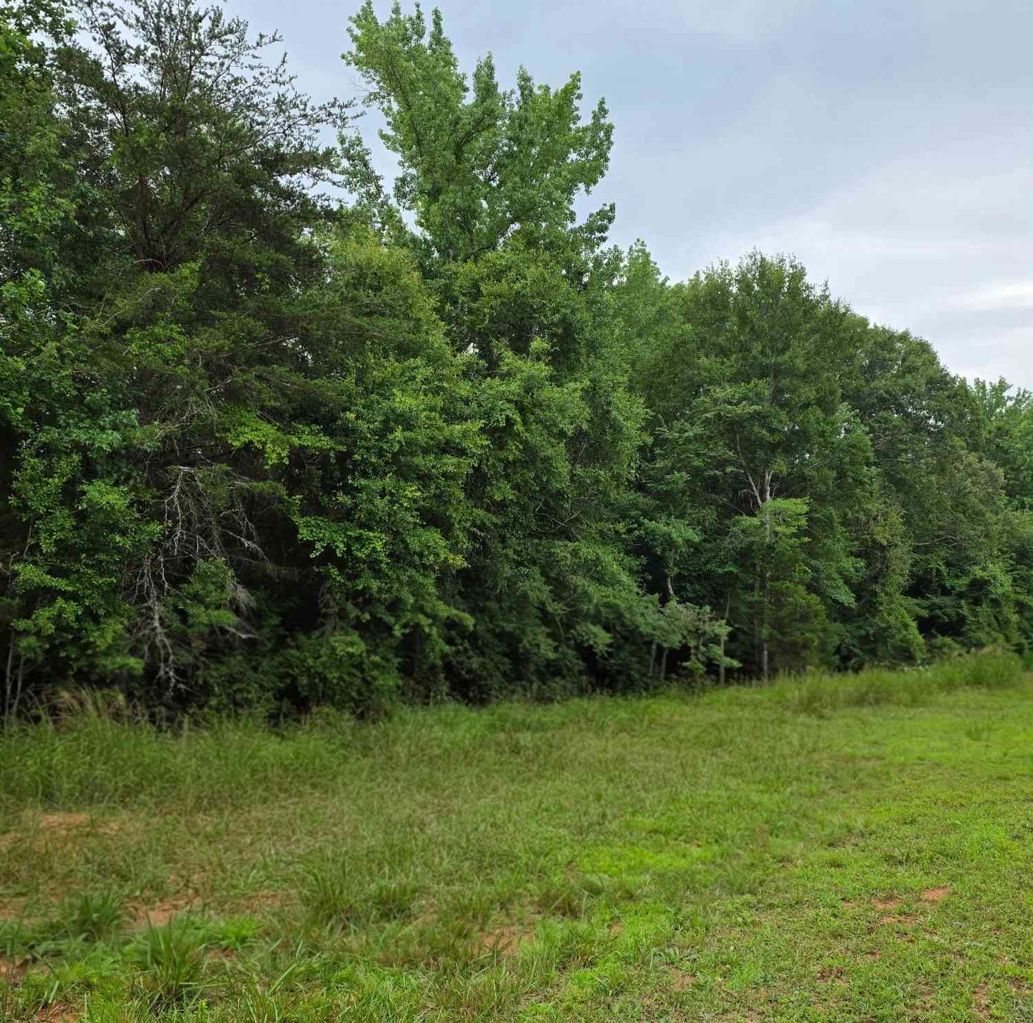 Vacant Land For Sale - 00 Chastain<br/> Greenville County, Pelzer, SC 29669