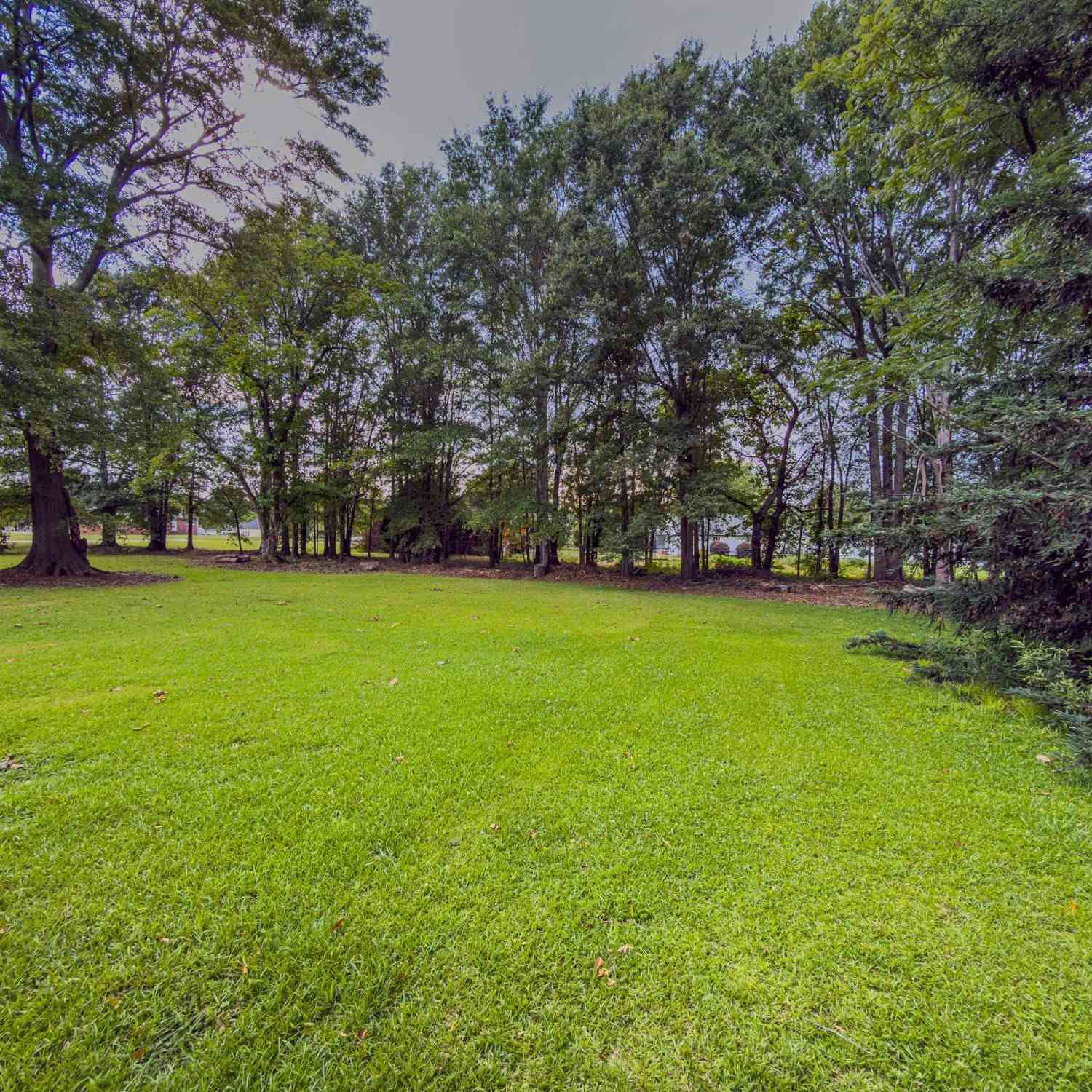 Vacant Land For Sale - 00 New Cut<br/> Spartanburg County, Inman, SC 29349