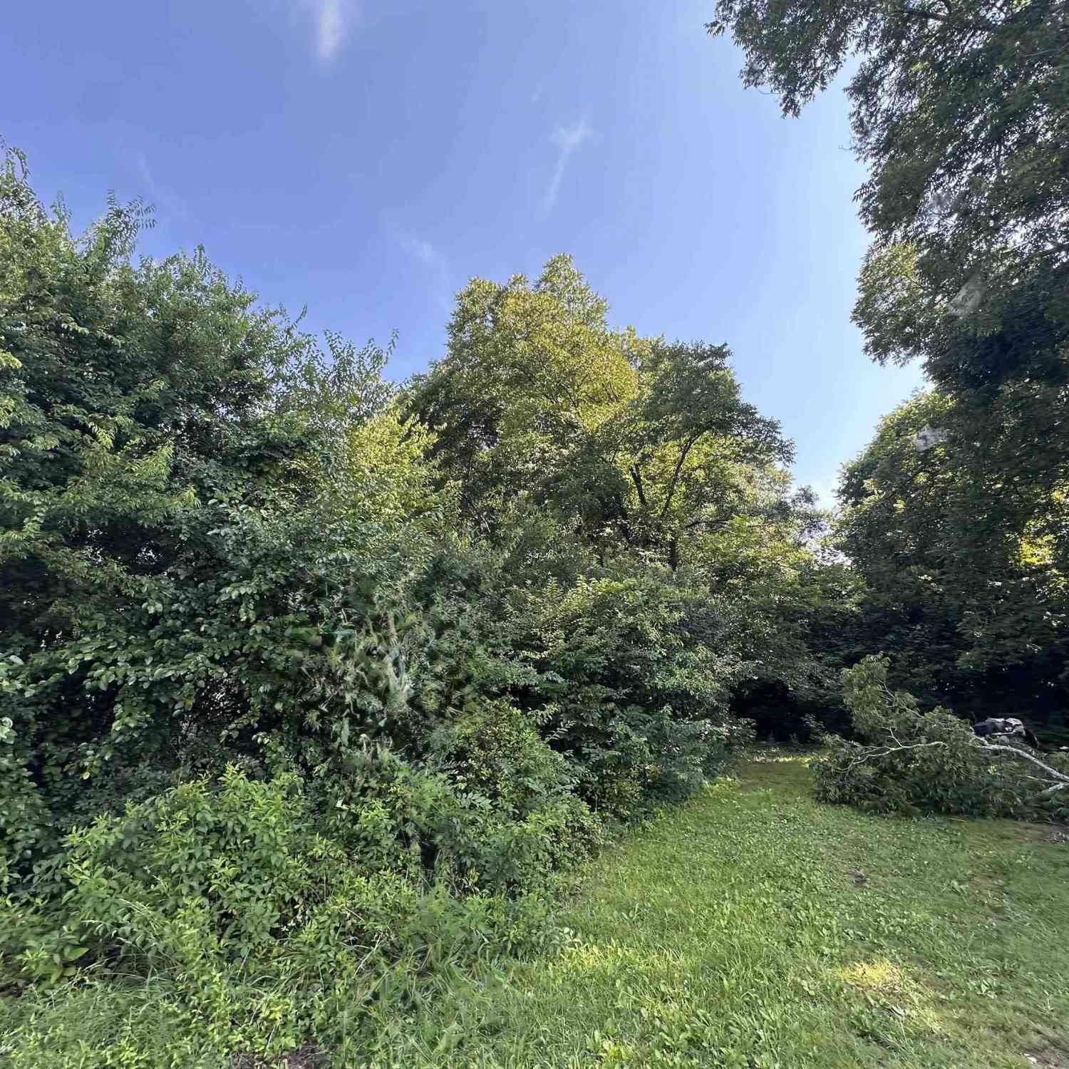 Vacant Land For Sale - 1406 Mitchell<br/> Anderson County, Anderson, SC 29624