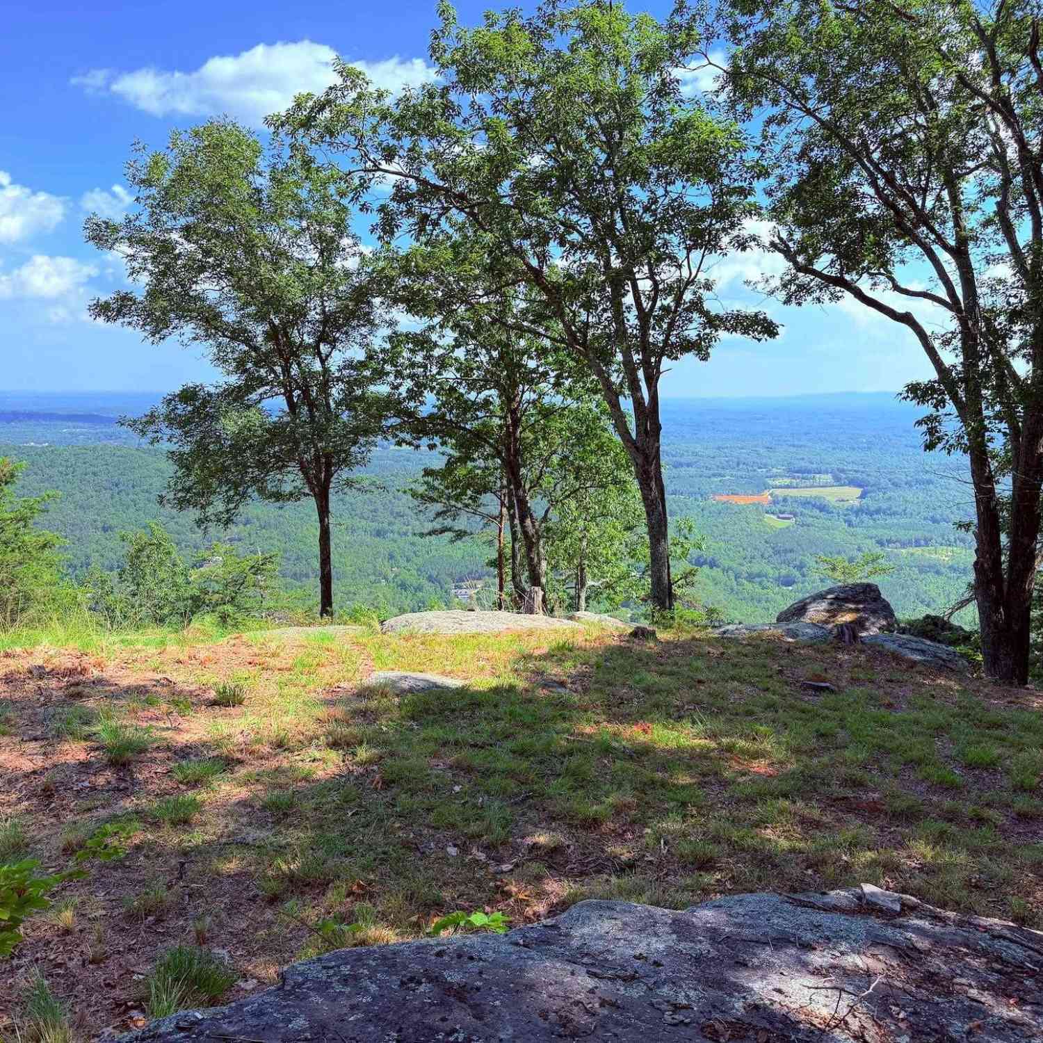 Vacant Land For Sale - Southview Ledge<br/> Landrum, SC 29356
