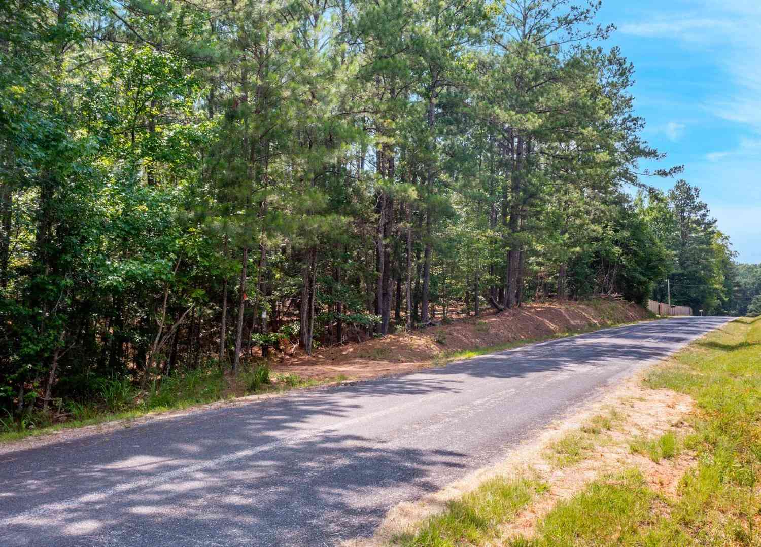 Vacant Land For Sale - Stomp Springs<br/> Clinton, SC 29325