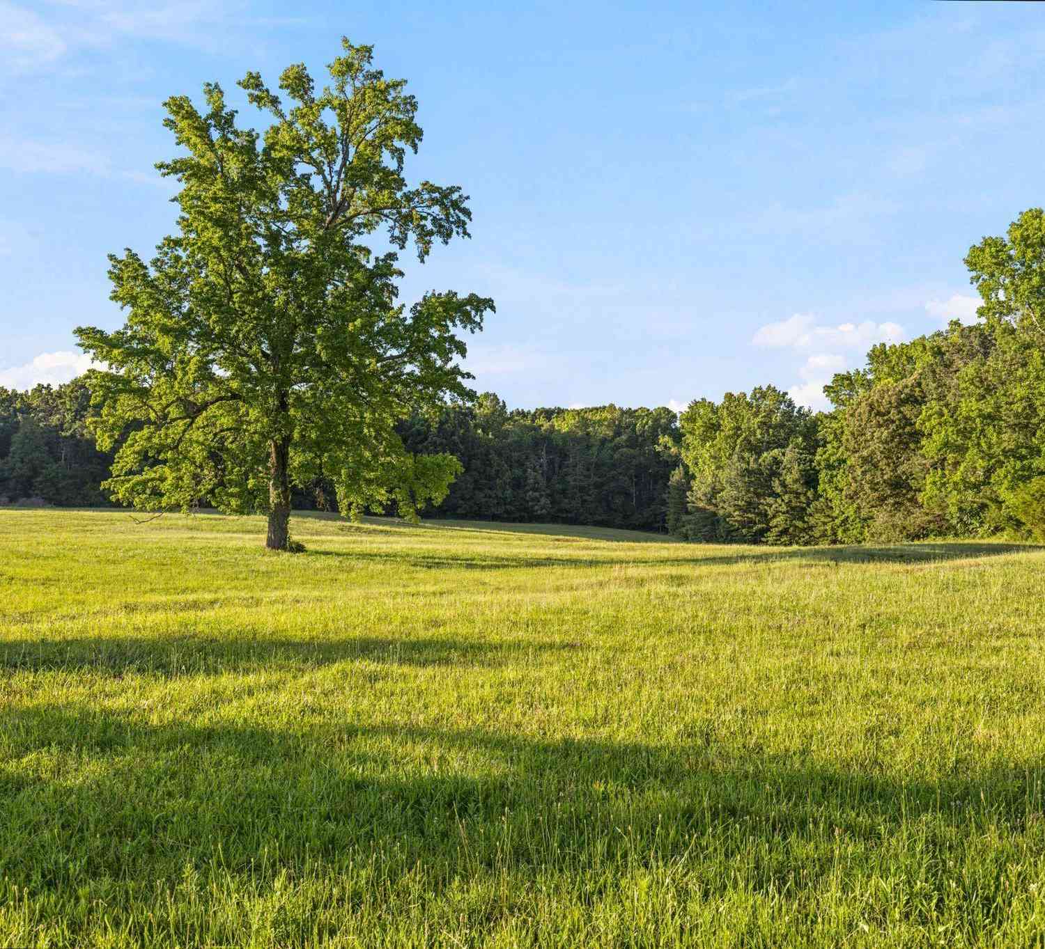 Vacant Land For Sale - 00 Indian Mound<br/> Ware Shoals, SC 29662