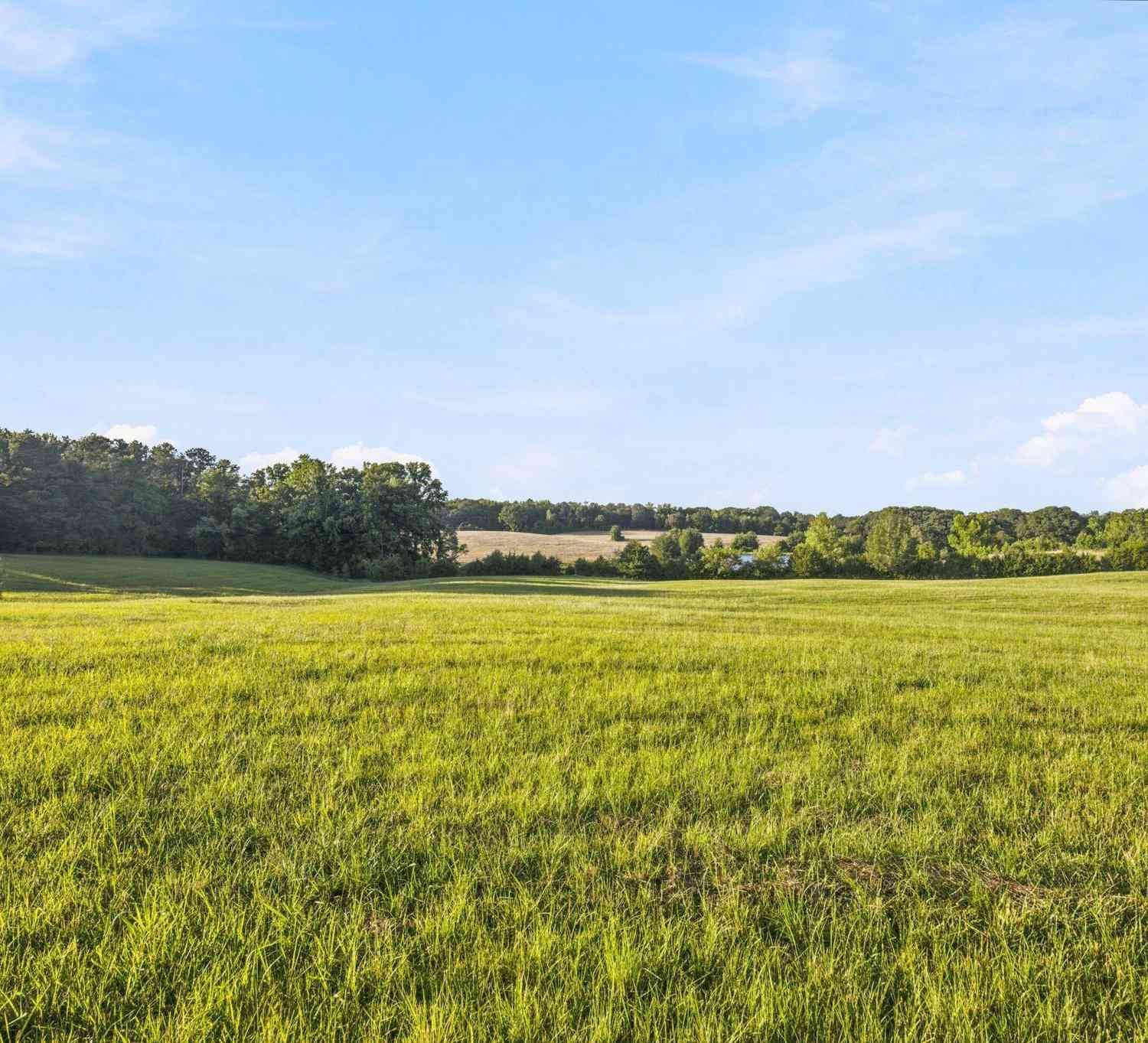 Vacant Land For Sale - 00 Indian Mound<br/> Ware Shoals, SC 29692