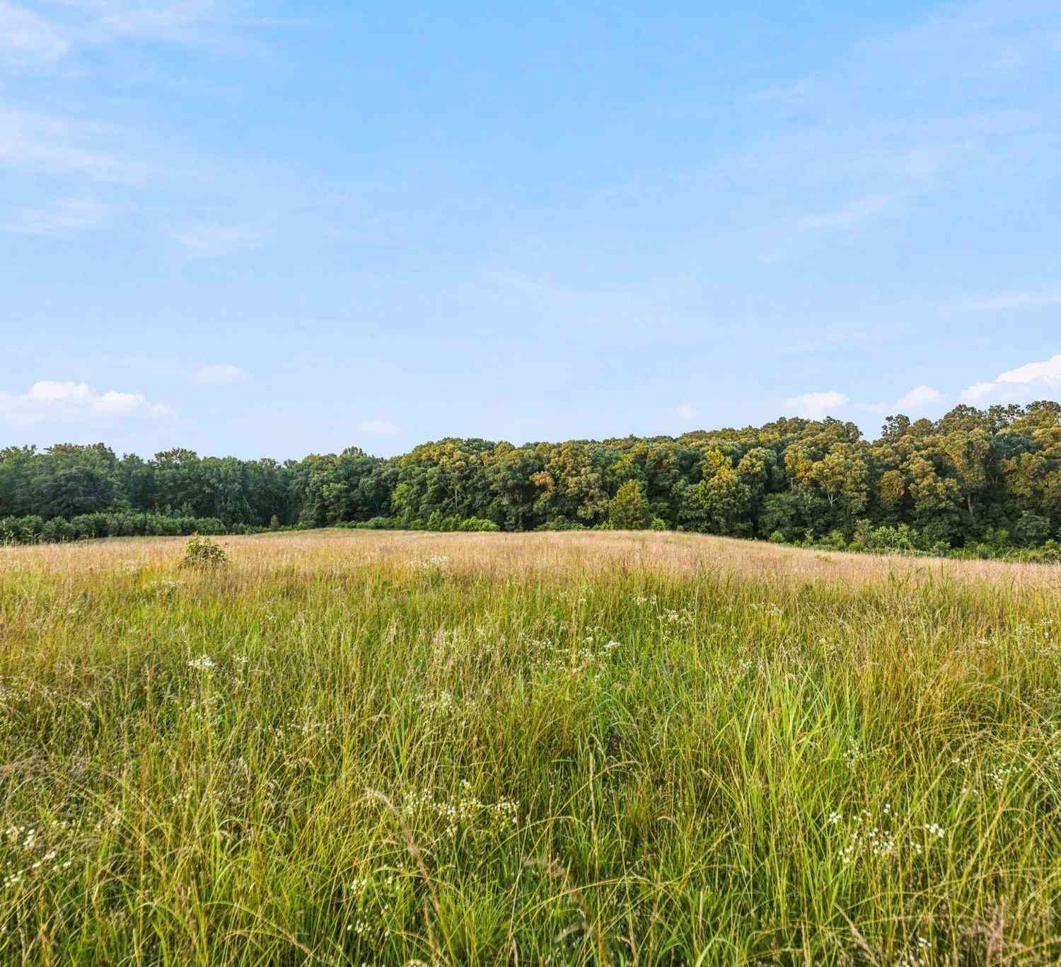 Vacant Land For Sale - 00 Indian Mound<br/> Ware Shoals, SC 29692