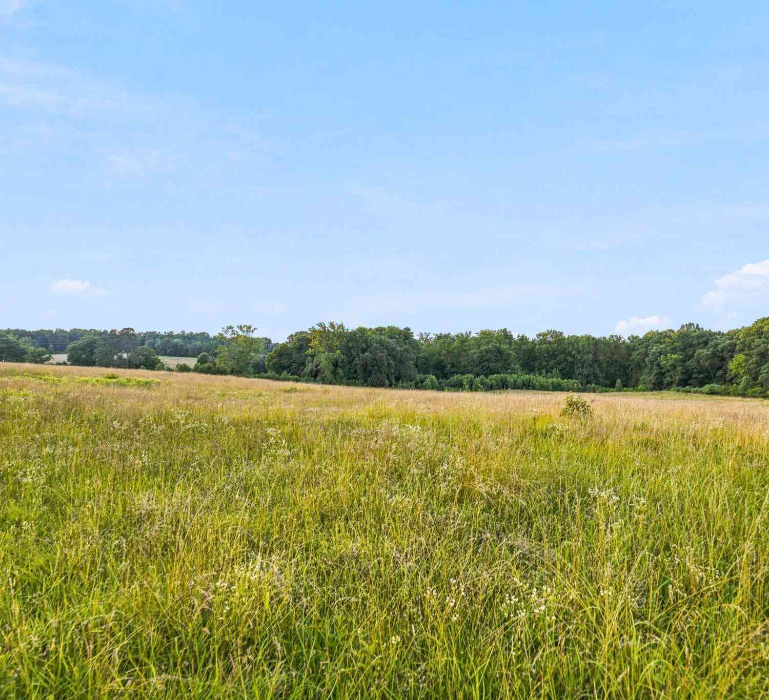 Vacant Land For Sale - 00 Indian Mound<br/> Ware Shoals, SC 29692