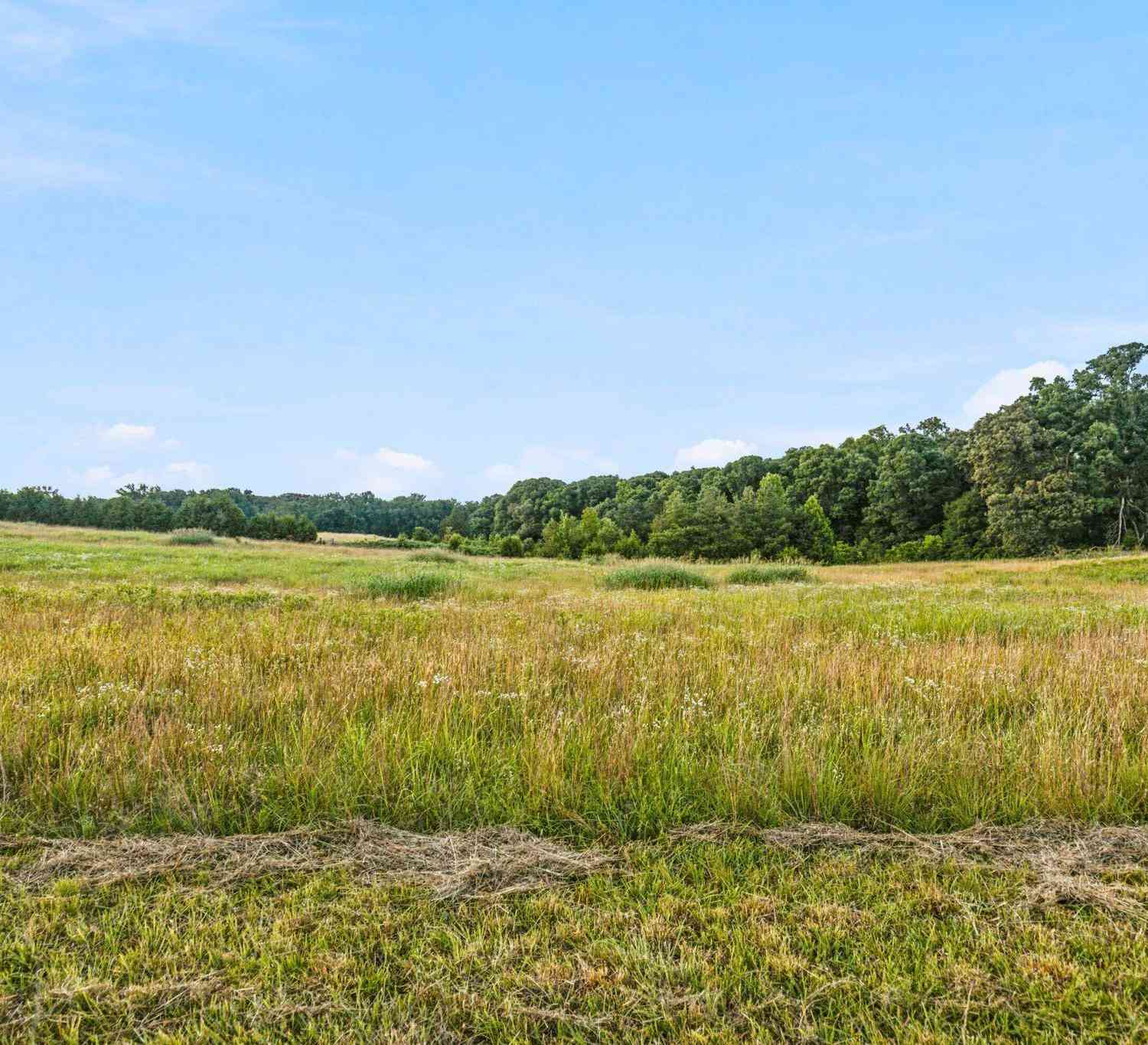 Vacant Land For Sale - 00 Indian Mound<br/> Ware Shoals, SC 29692