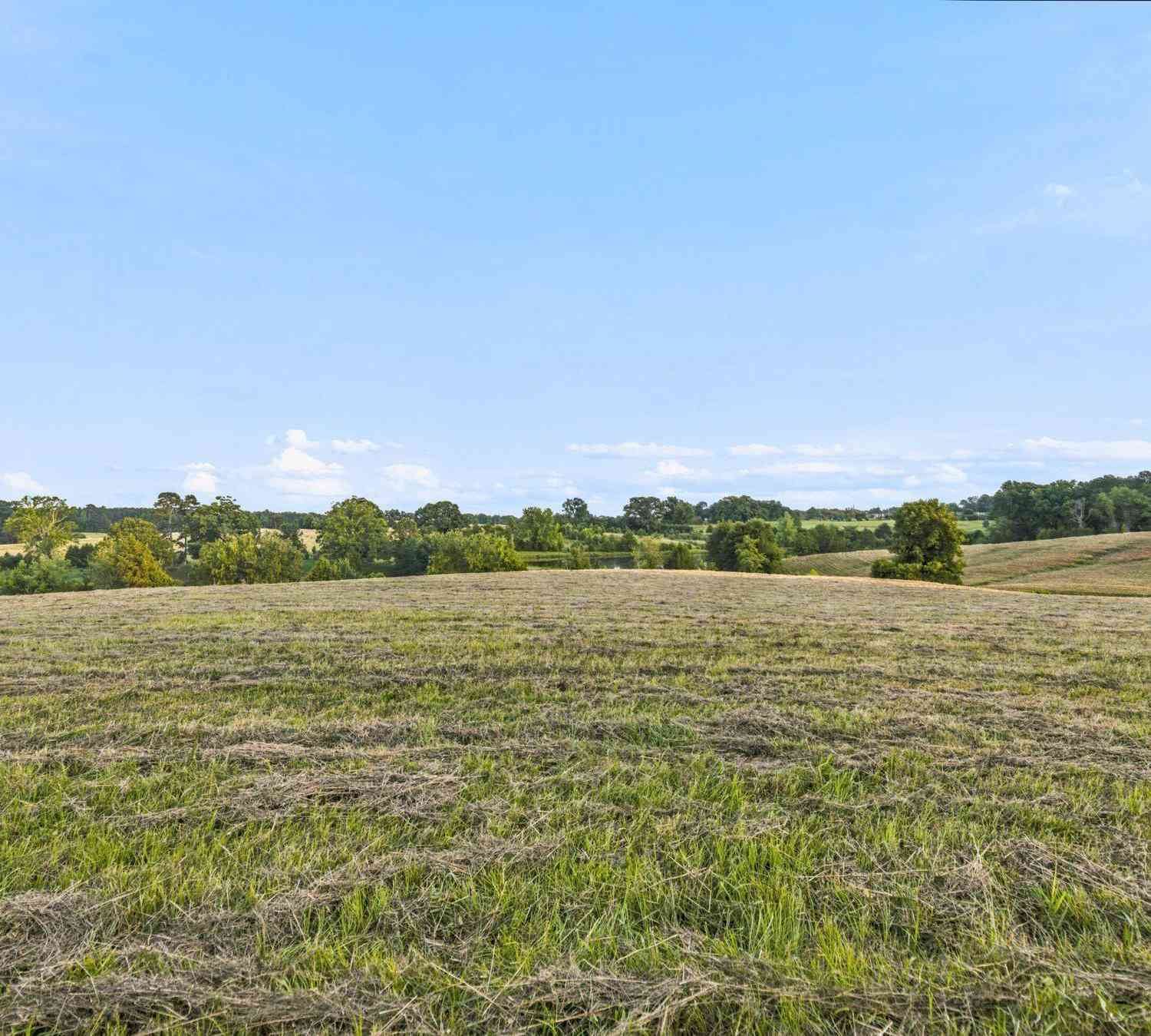 Vacant Land For Sale - 00 252<br/> Ware Shoals, SC 29692