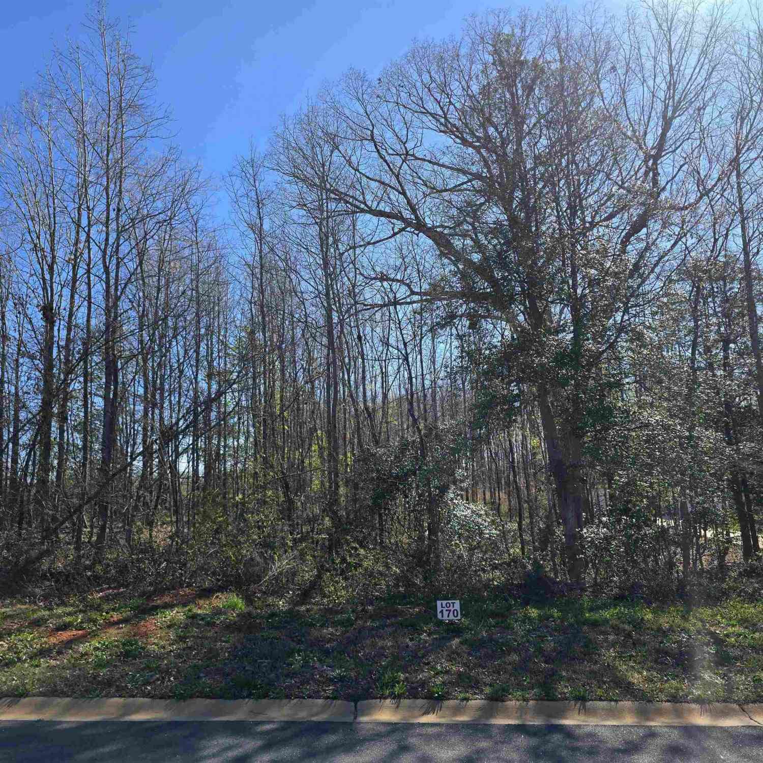 Vacant Land For Sale - 103 Lipizzaner<br/> Pelzer, SC 29669
