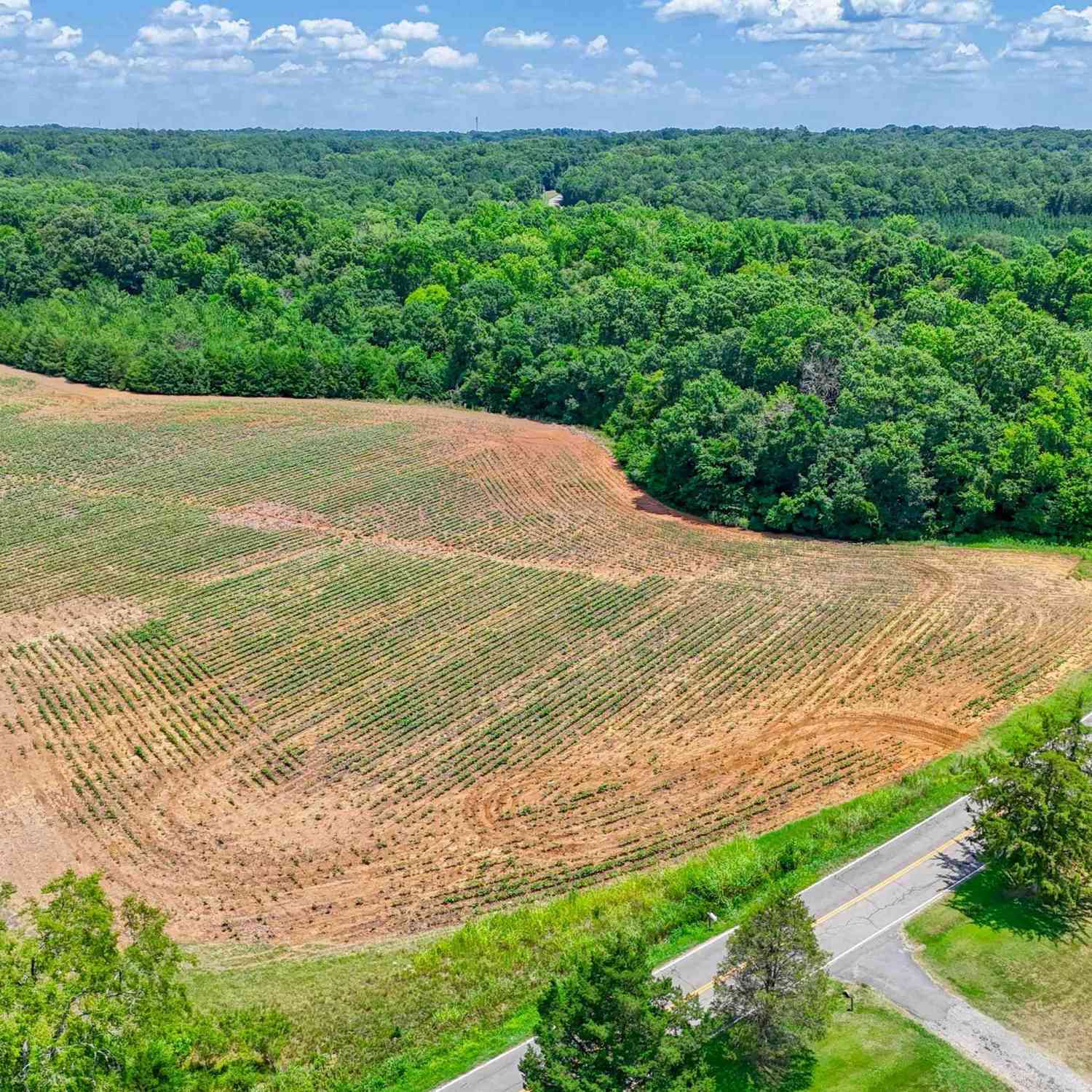 Vacant Land For Sale - E Rambo<br/> Rock Hill, SC 29730