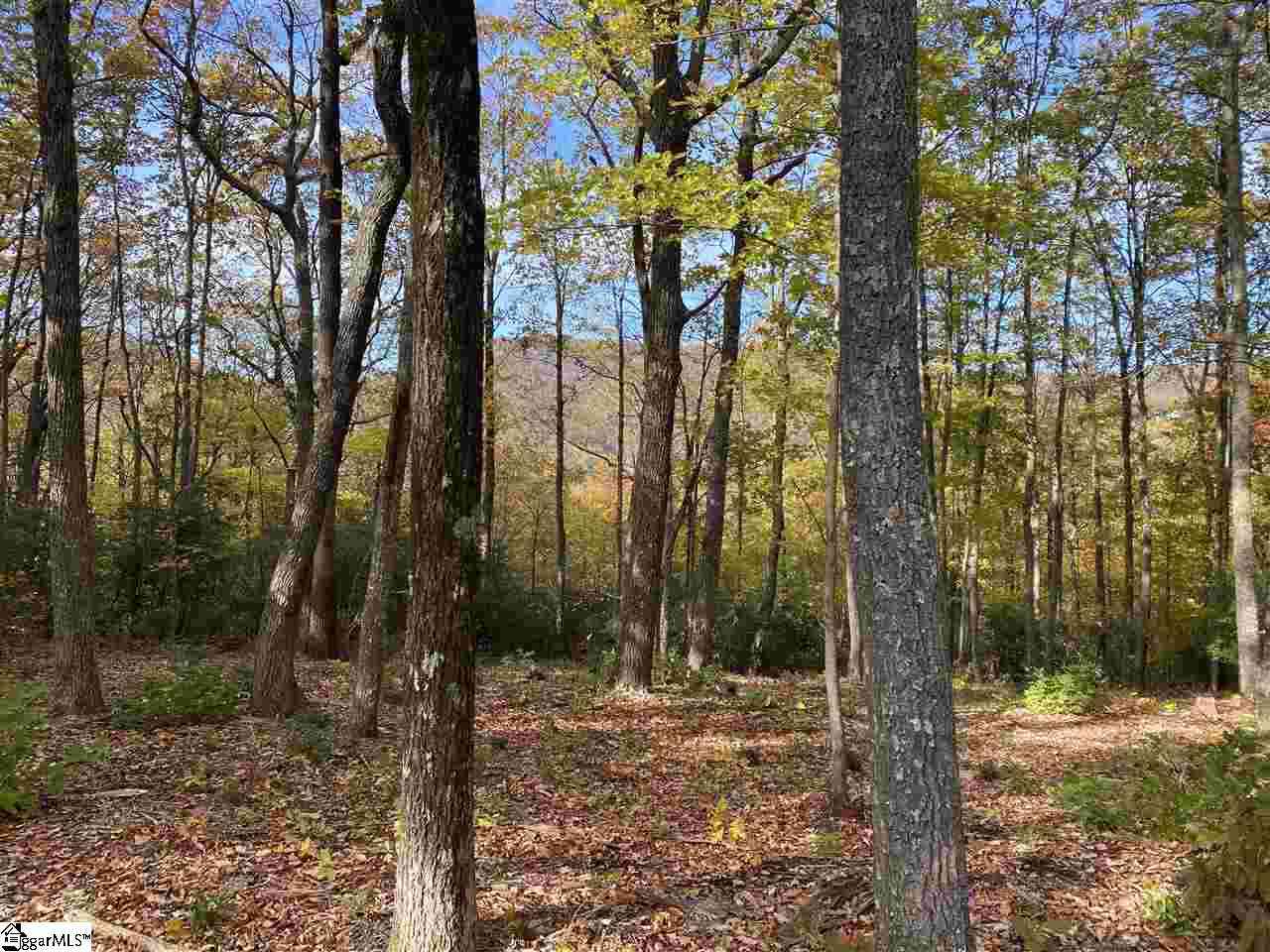 Vacant Land For Sale - 1526 Panther Park<br/> Travelers Rest, SC 29690