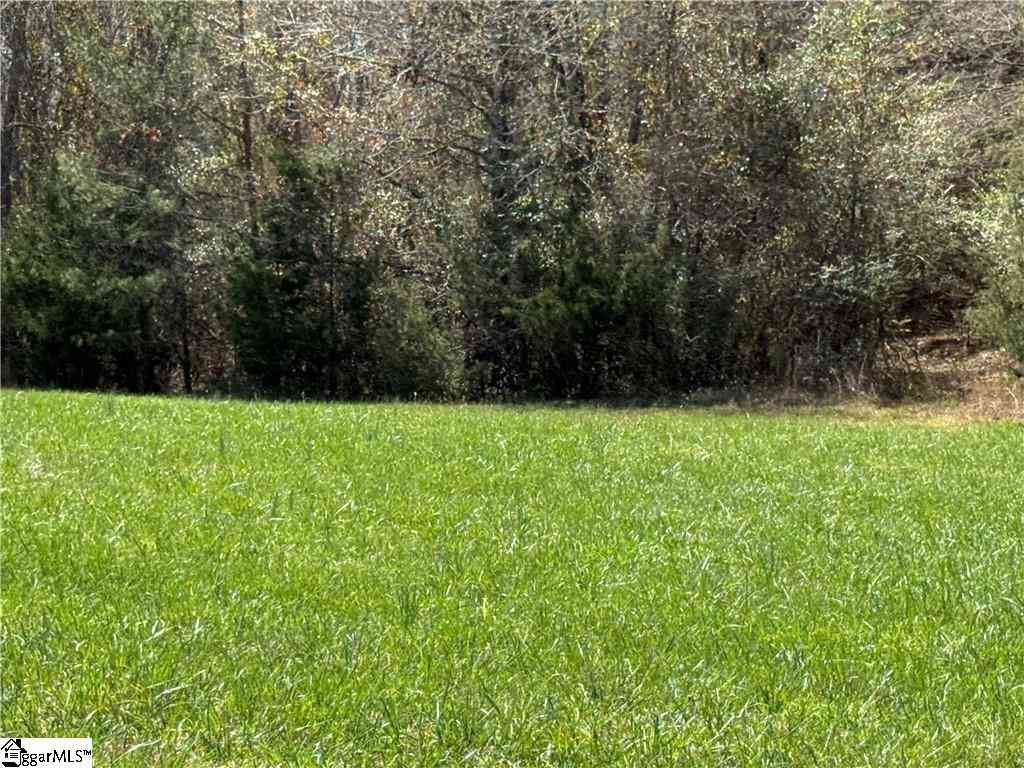 Vacant Land For Sale - 00 Holland Ford<br/> Pelzer, SC 29669