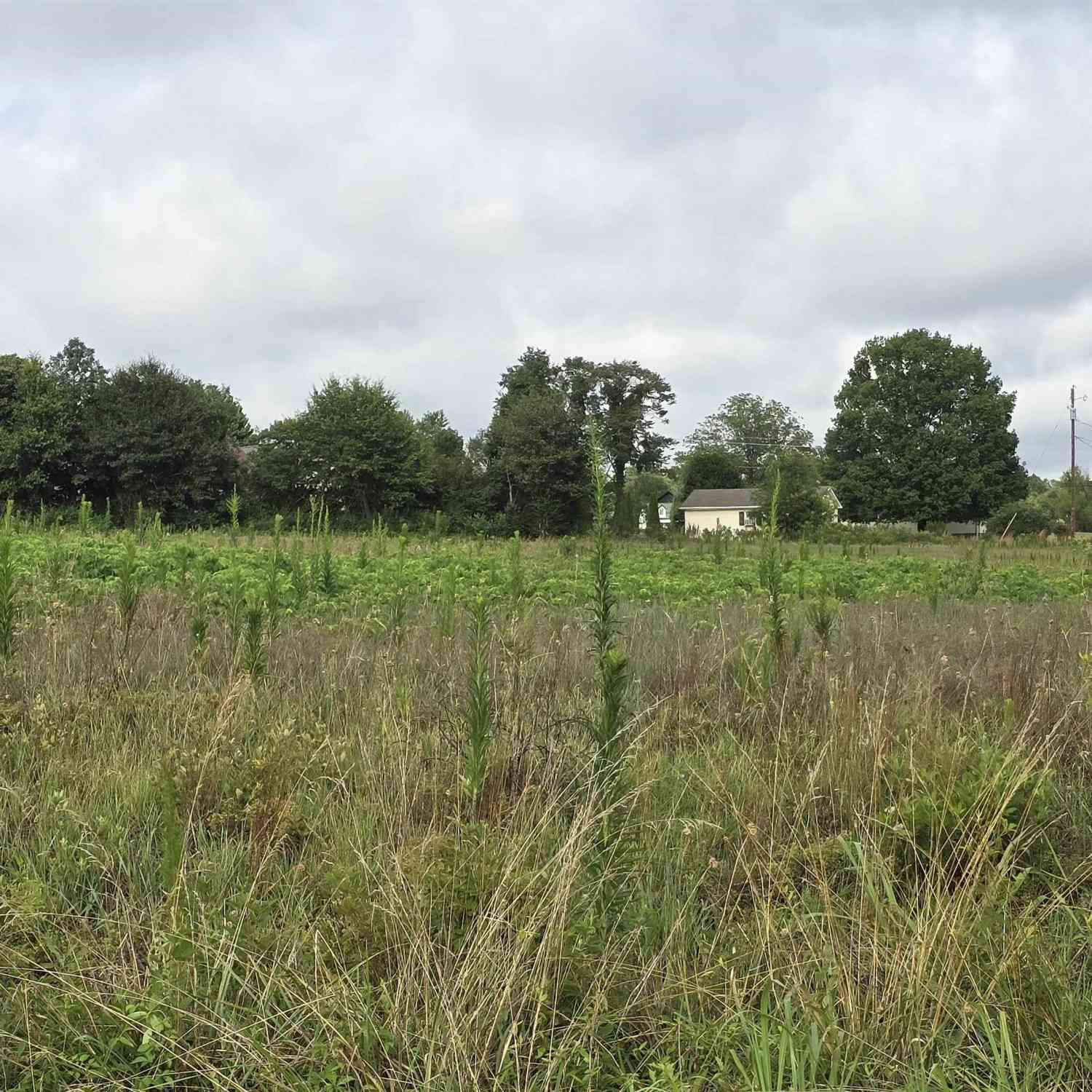 Vacant Land For Sale - 821 Farms Bridge<br/> Spartanburg County, Inman, SC 29349