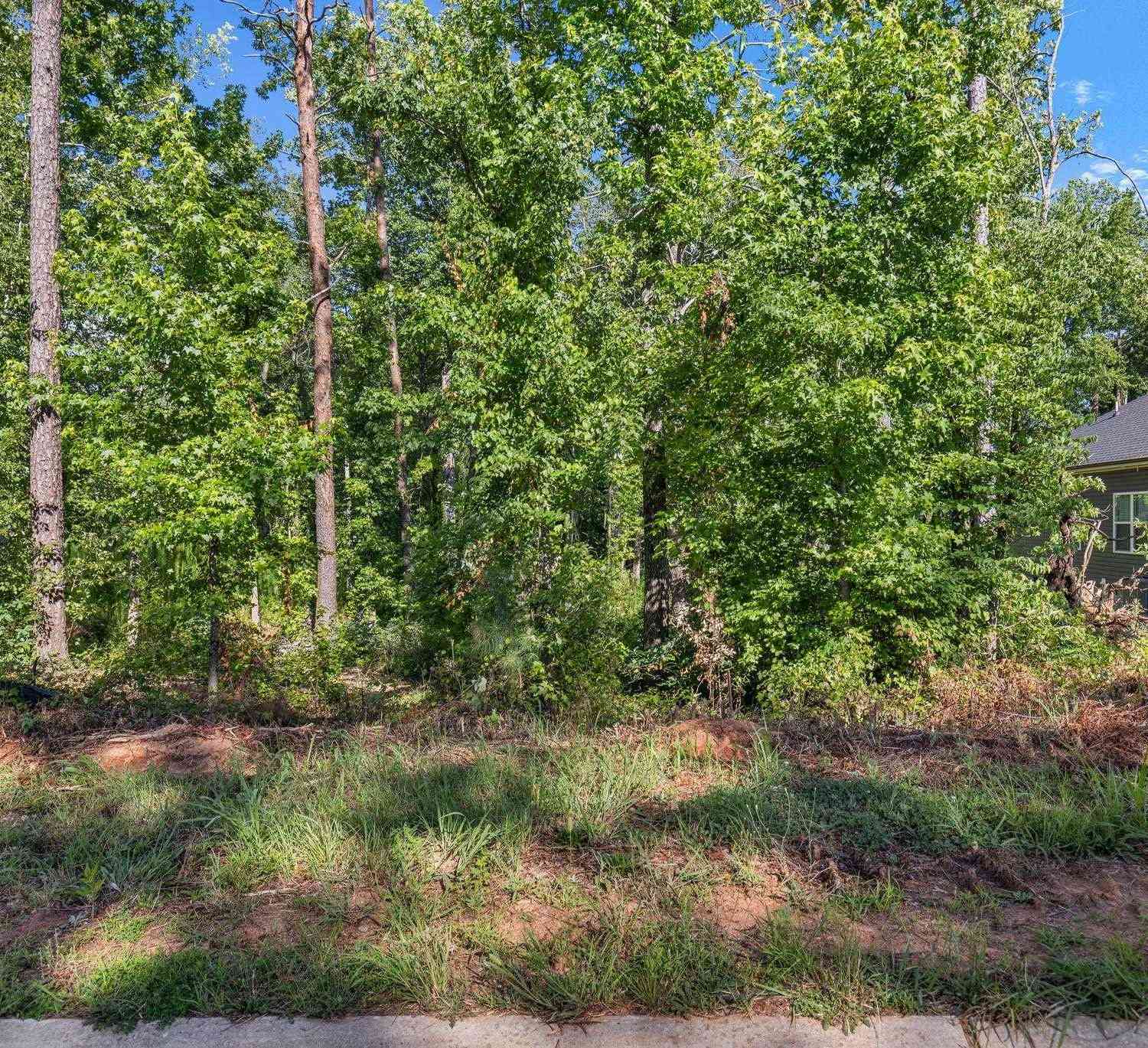 Vacant Land For Sale - 203 Wrenwood<br/> Piedmont, SC 29673