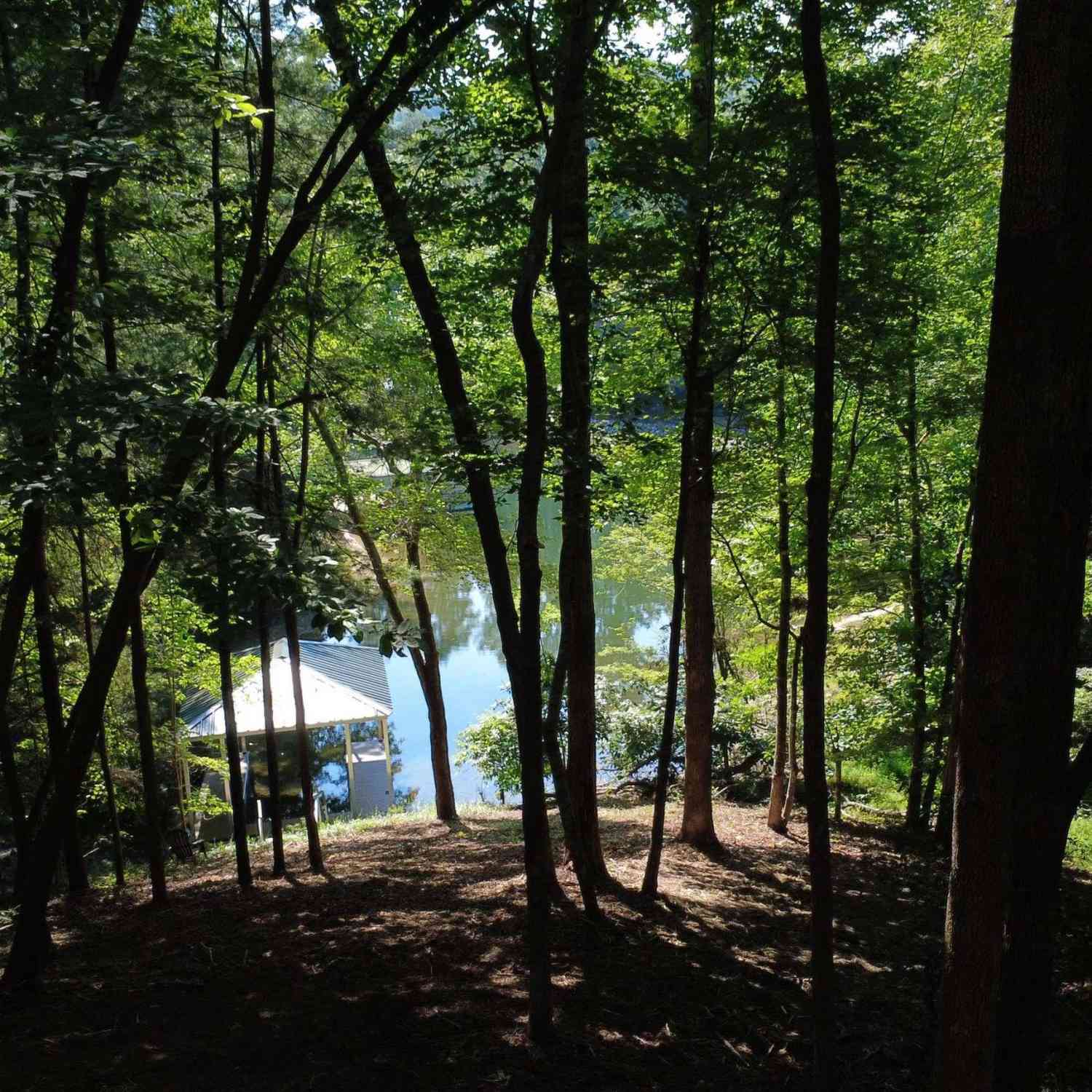Vacant Land For Sale - 601 Wind Flower<br/> Sunset, SC 29685