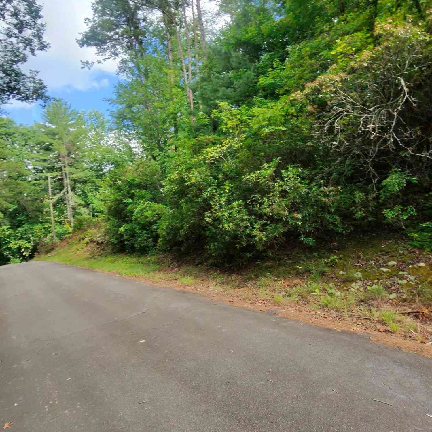 Vacant Land For Sale - 00 Silver Shoals<br/> Greenville County, Marietta, SC 29661