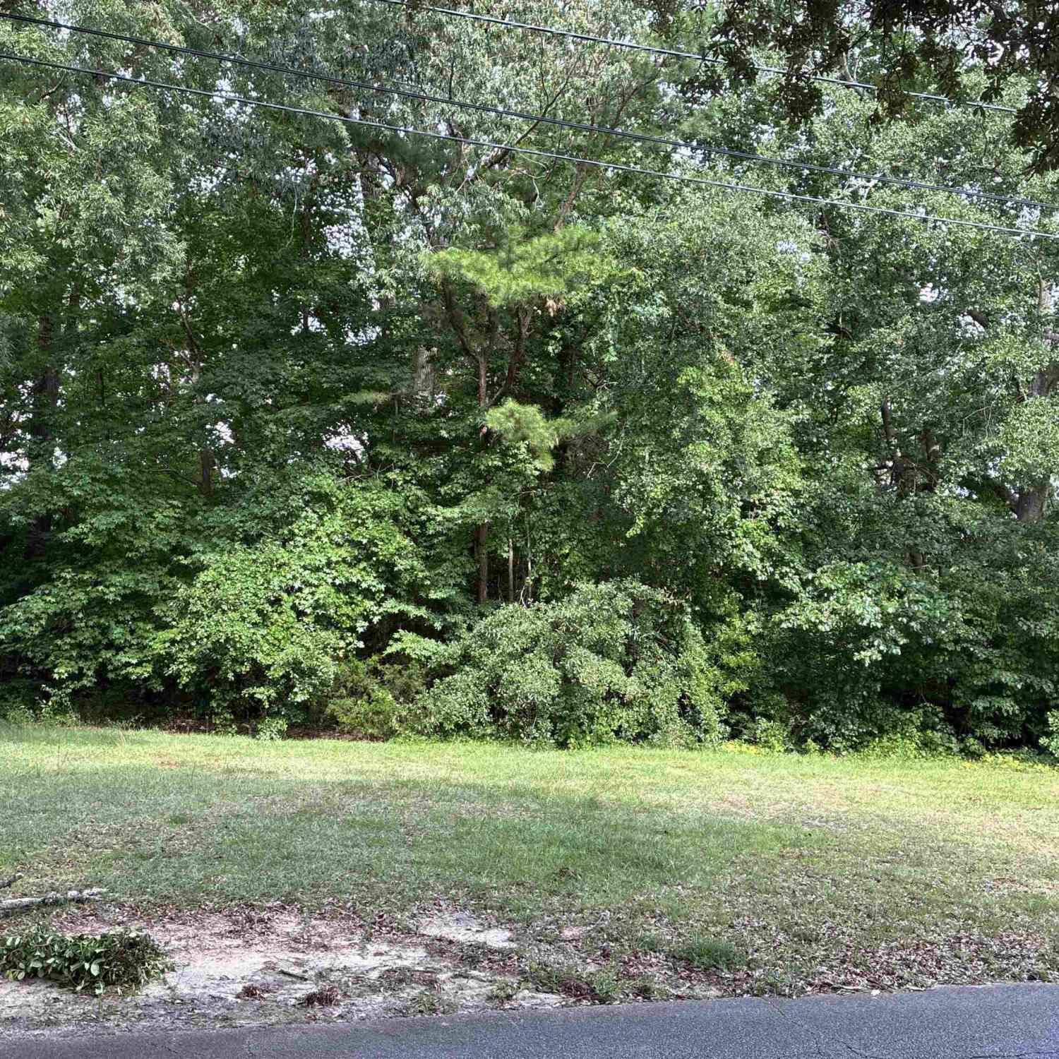 Vacant Land For Sale - 00 Oakwood<br/> Laurens County, Laurens, SC 29360