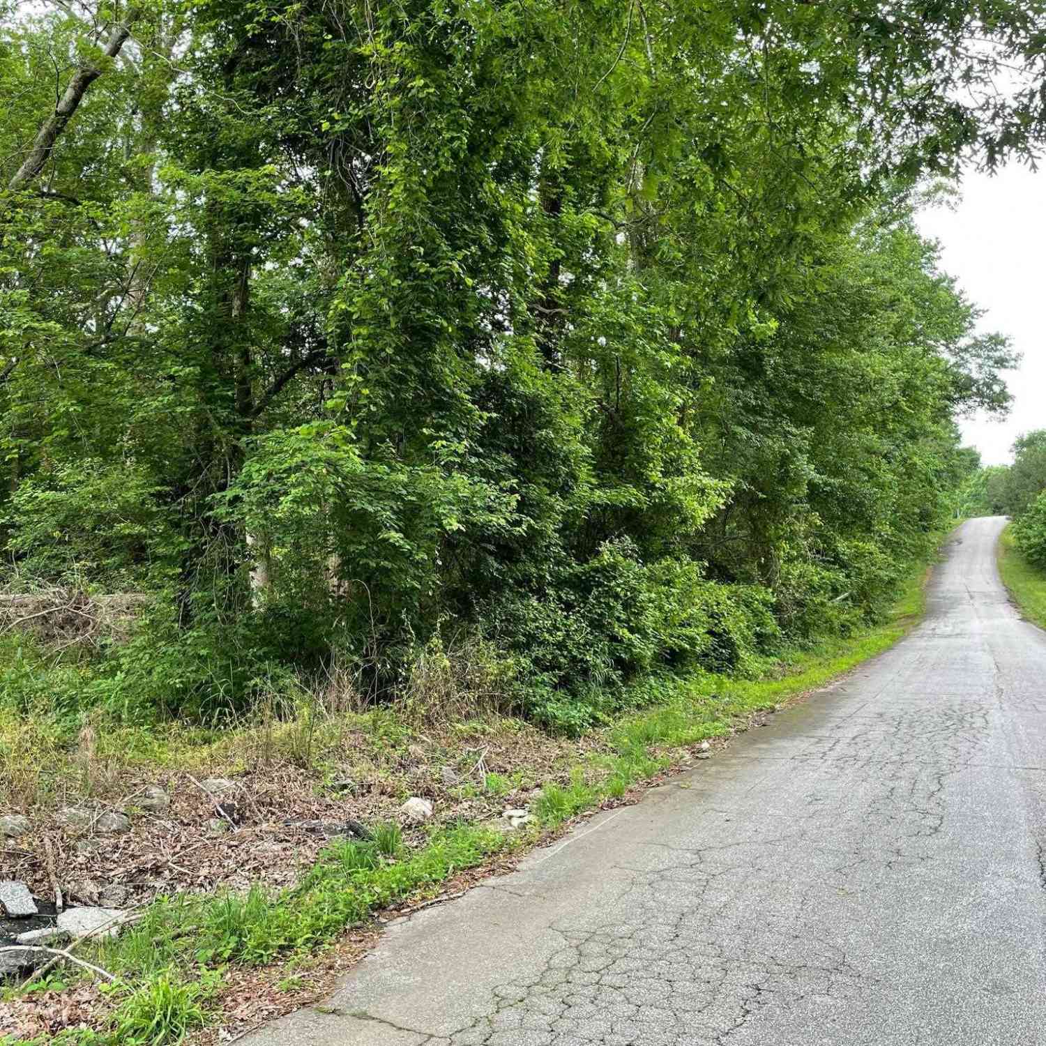 Vacant Land For Sale - Rock Springs<br/> Belton, SC 29627