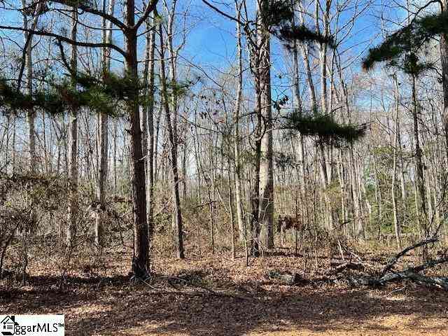 Vacant Land For Sale - 143 Katora<br/> Greenville County, Pelzer, SC 29669