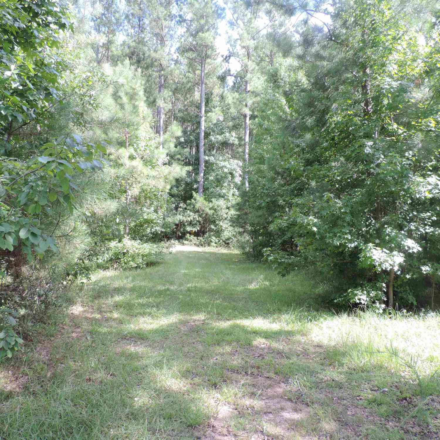 Vacant Land For Sale - Wilkerson<br/> Union County, Whitmire, SC 29178