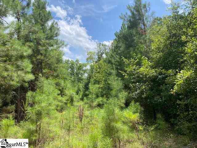 Vacant Land For Sale - 00 Vanboklen<br/> Eastover, SC 29044
