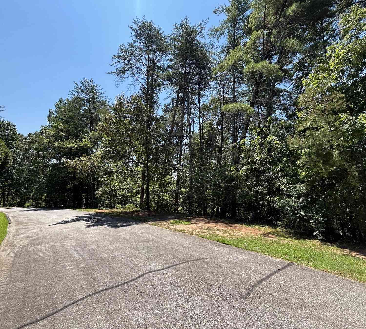 Vacant Land For Sale - 111 Sweetshrub<br/> Sunset, SC 29685
