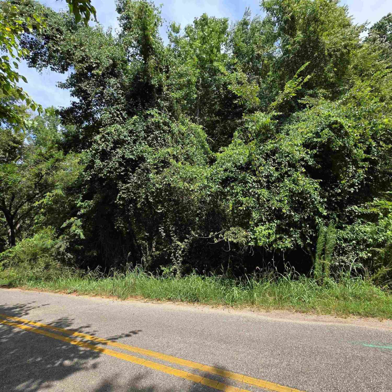 Vacant Land For Sale - 318 Meadowbrook<br/> Woodruff, SC 29388