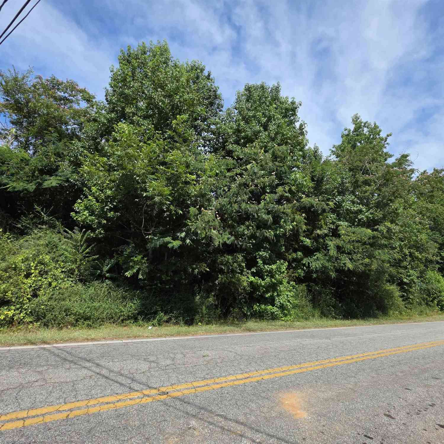 Vacant Land For Sale - 236 Hawthorne<br/> Woodruff, SC 29388