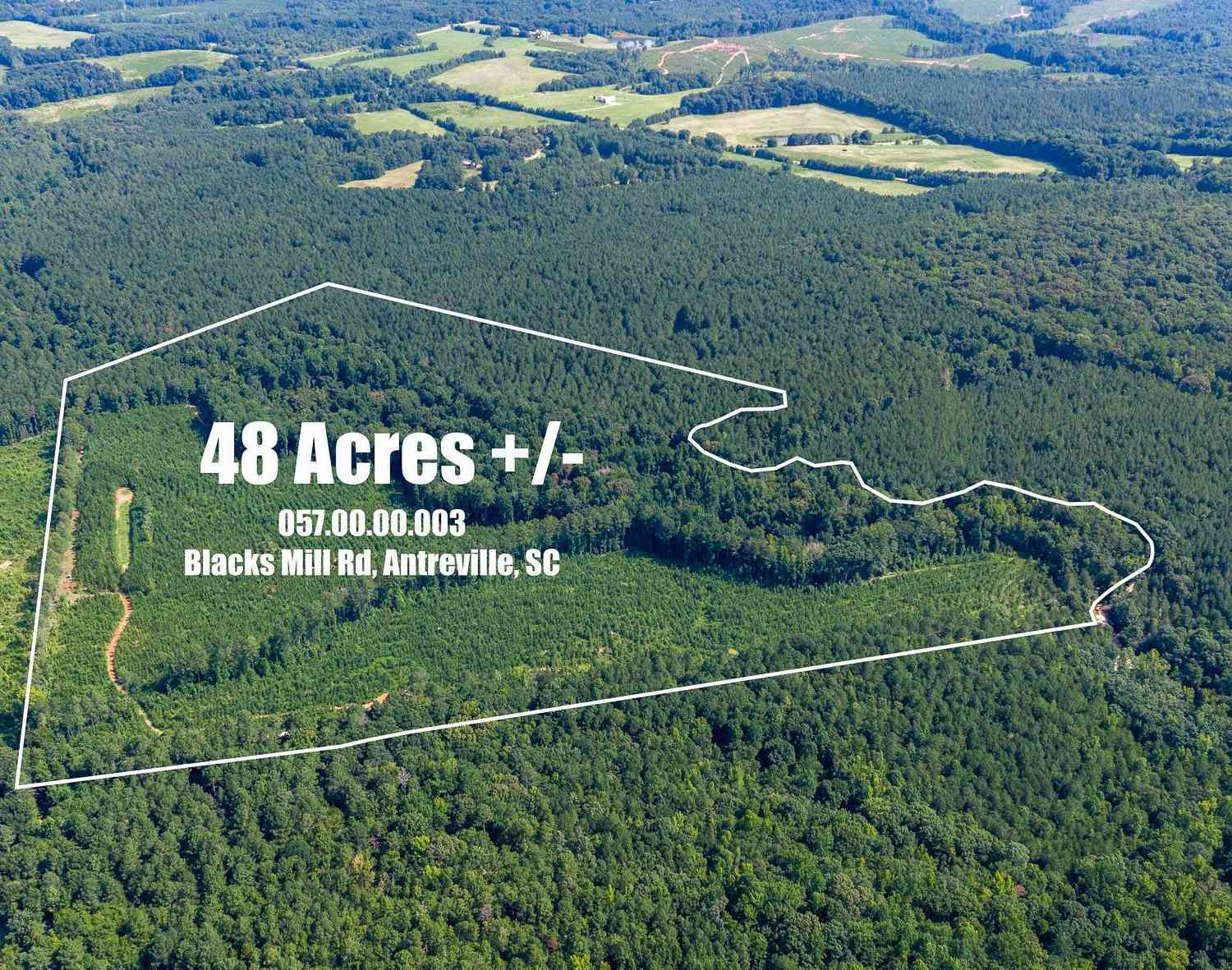 Vacant Land For Sale - Blacks Mill<br/> Abbeville County, Iva, SC 29655