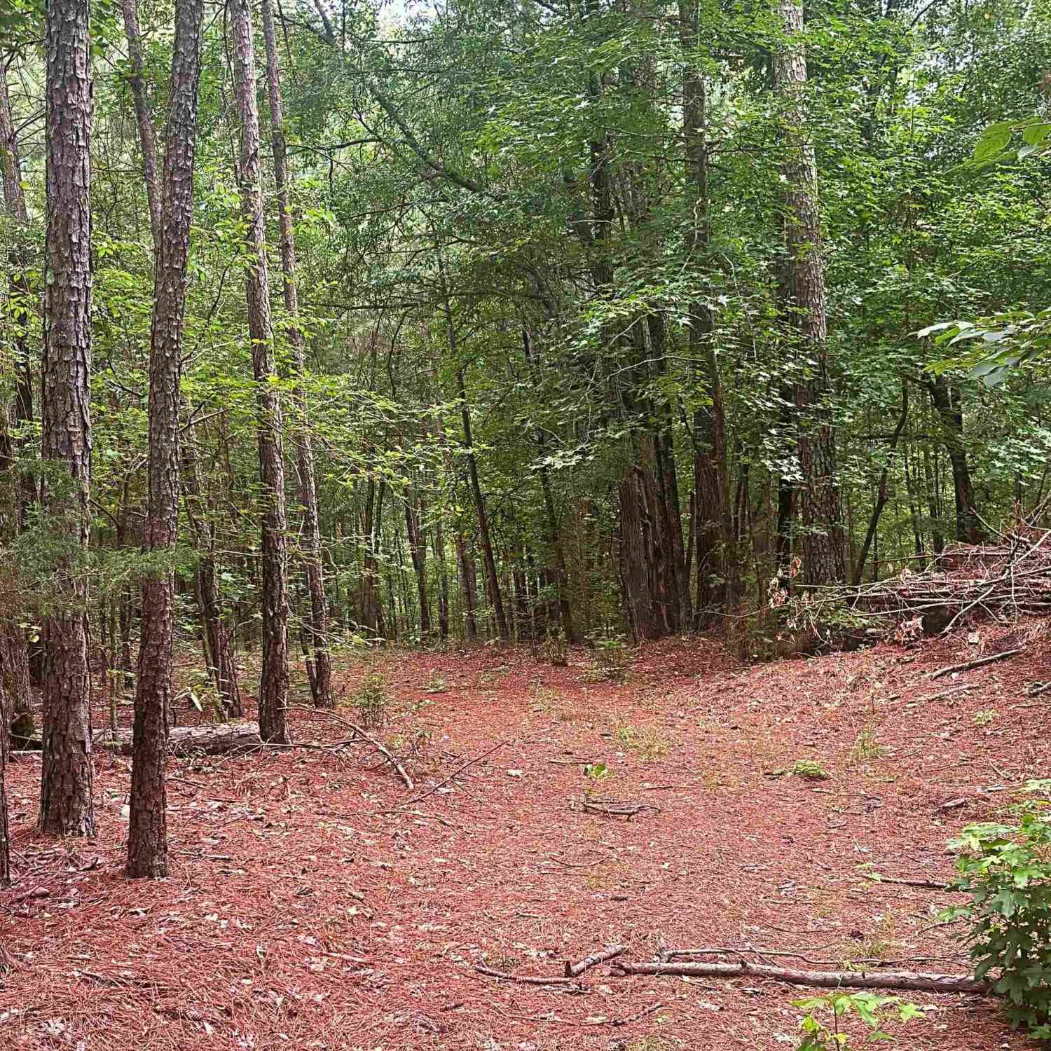 Vacant Land For Sale - Harris Springs<br/> Laurens County, Cross Hill, SC 29332