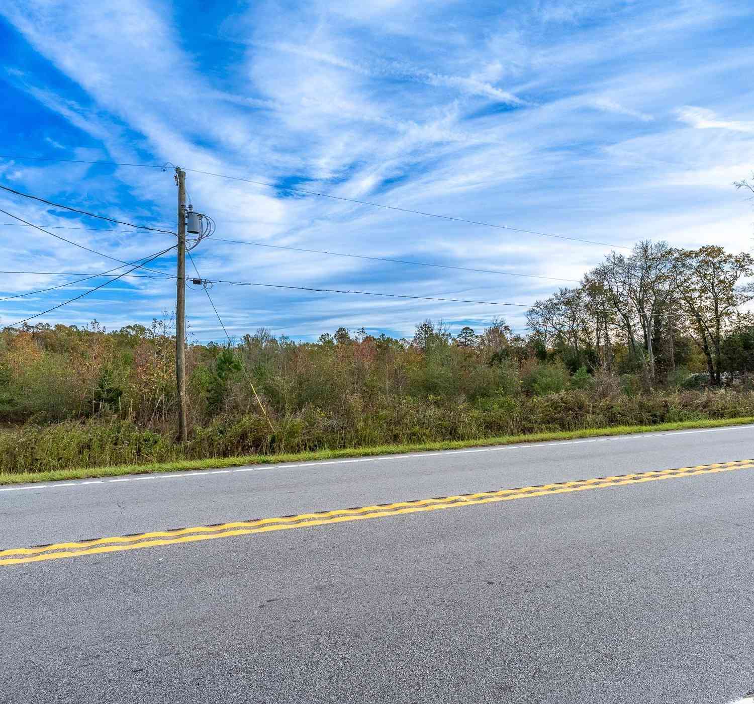 Vacant Land For Sale - 00 S Highway 101<br/> Laurens County, Gray Court, SC 29645