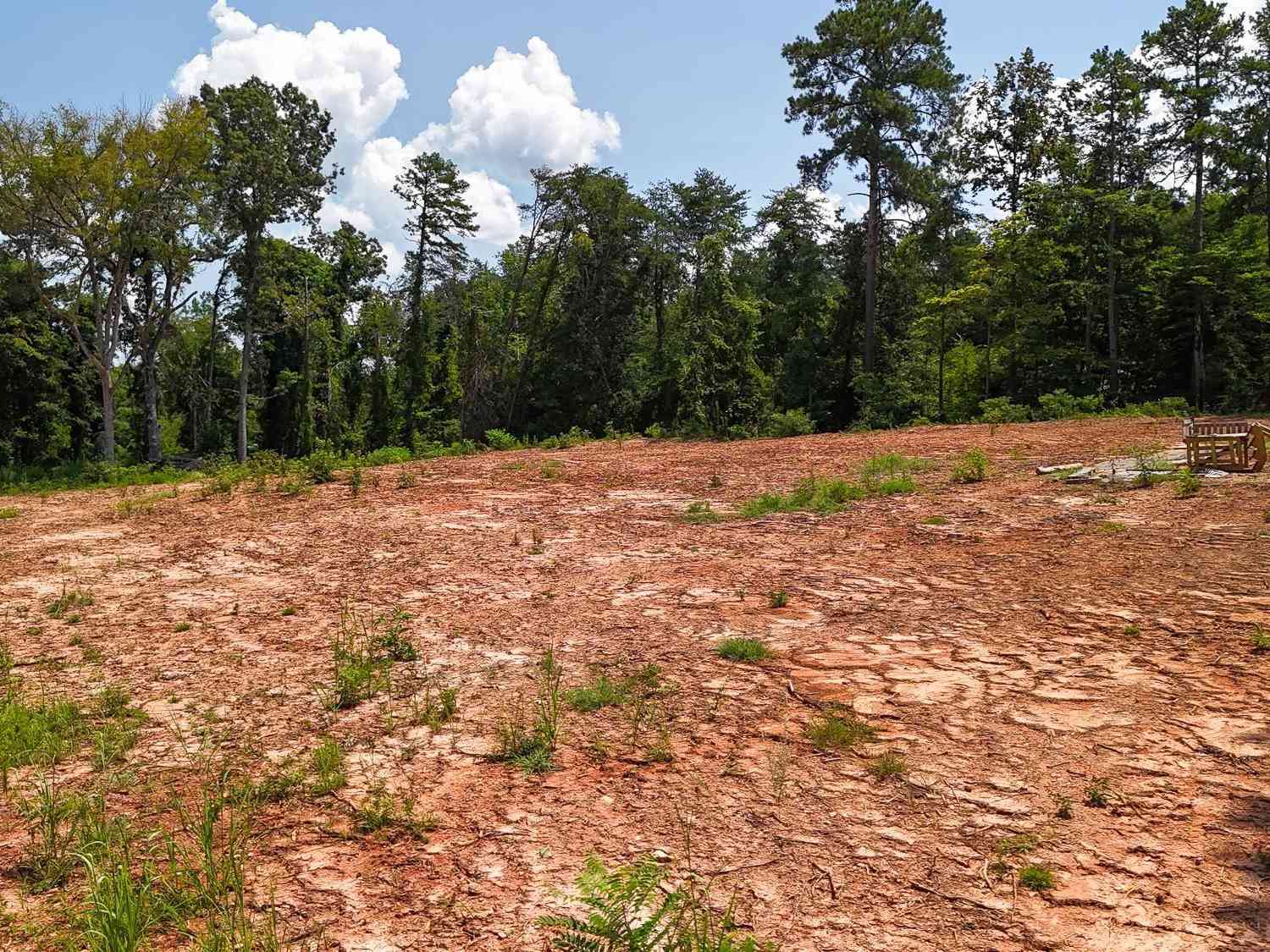 Vacant Land For Sale - 2260 Mount Lebanon<br/> Buffalo, SC 29321