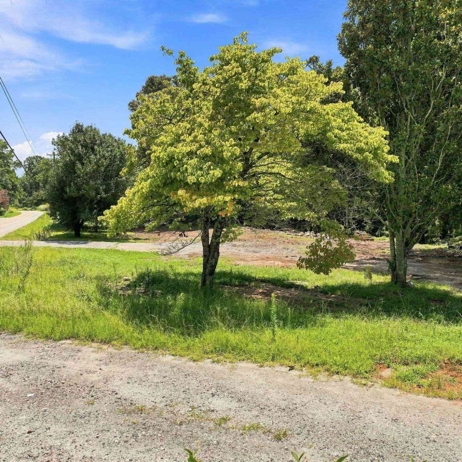 Vacant Land For Sale - 170 Singing Pines<br/> Seneca, SC 29678