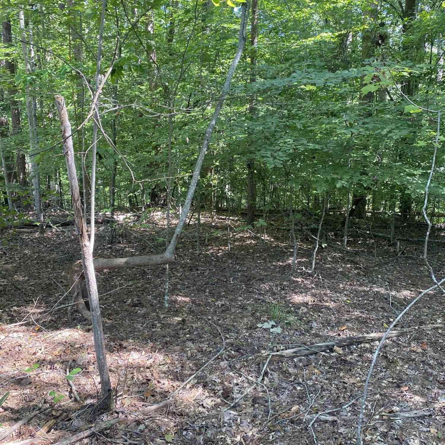 Vacant Land For Sale - 2296/2297 Laurel<br/> Oconee County, Westminster, SC 29693