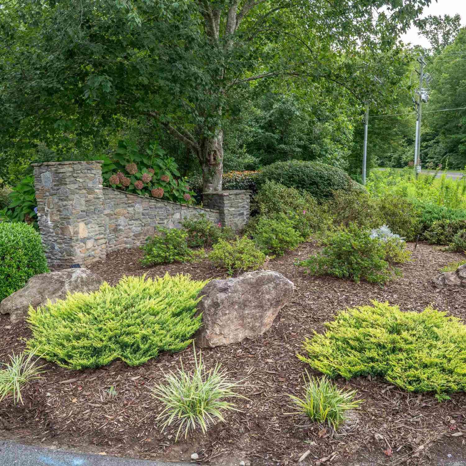 Vacant Land For Sale - 12 Queensmoor<br/> Travelers Rest, SC 29365