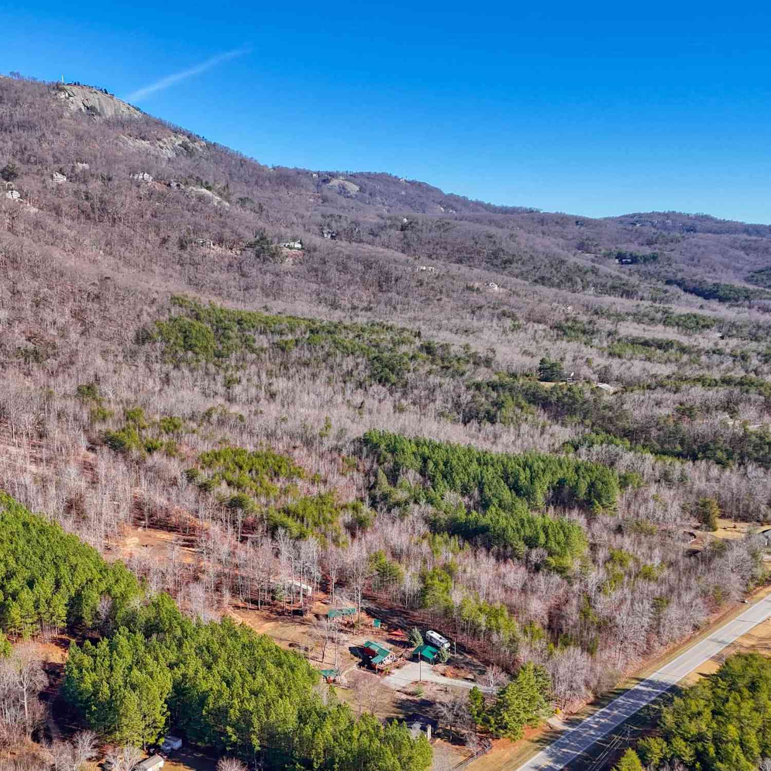 Vacant Land For Sale - 00 Highway 11<br/> Greenville County, Landrum, SC 29356