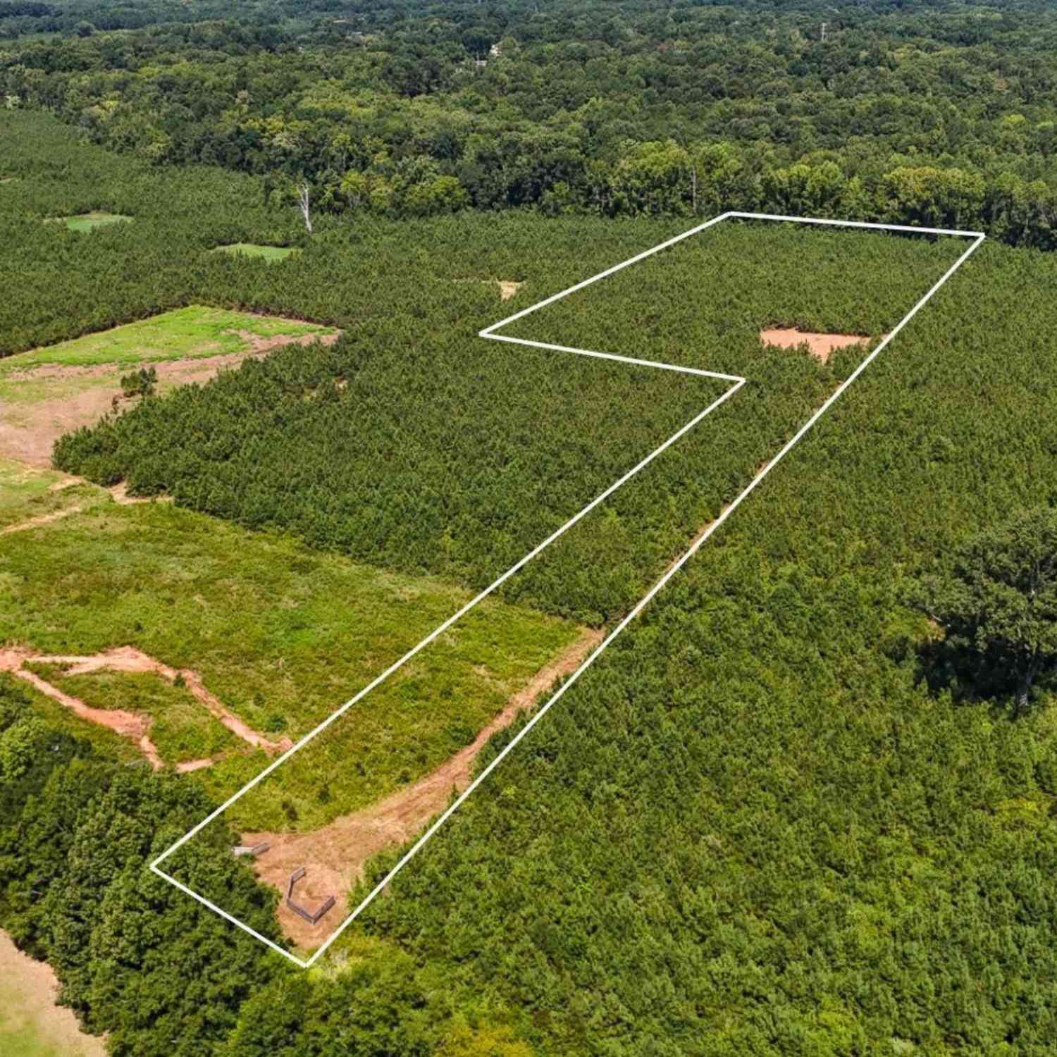 Vacant Land For Sale - 00 Young<br/> Clinton, SC 29325