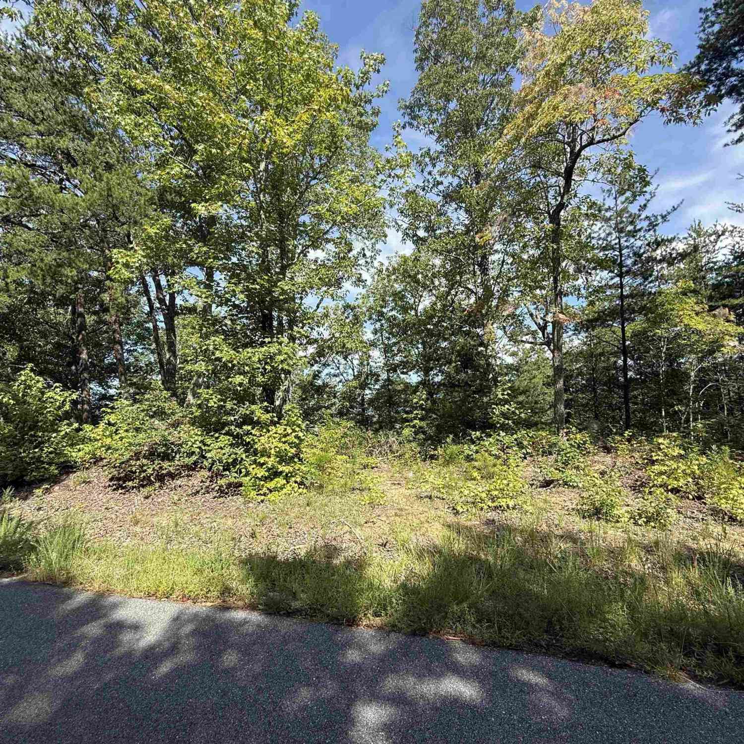 Vacant Land For Sale - 1140 Packs Mountain Ridge<br/> Taylors, SC 29687
