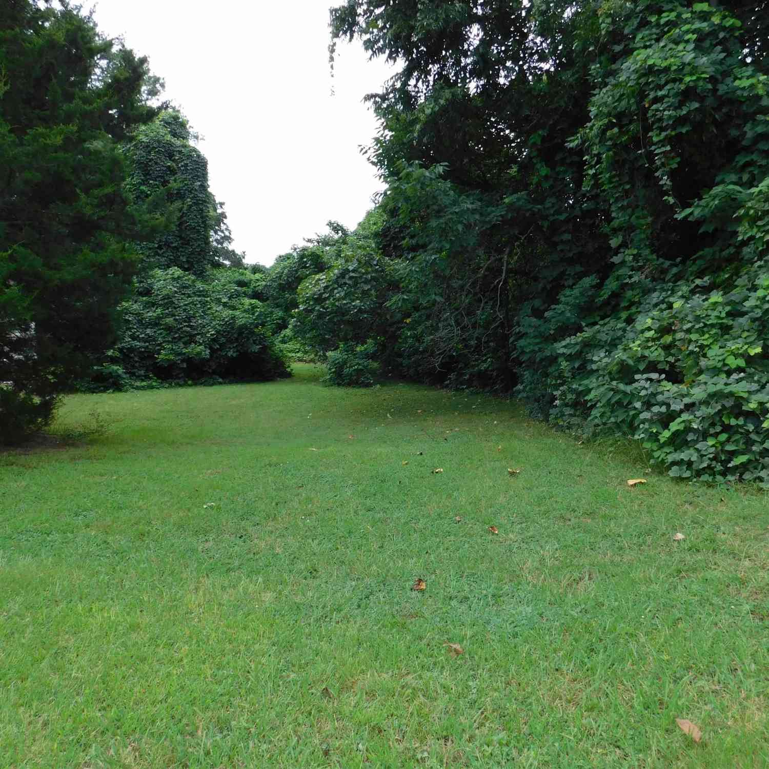 Vacant Land For Sale - 127 Bomar<br/> Spartanburg, SC 29306