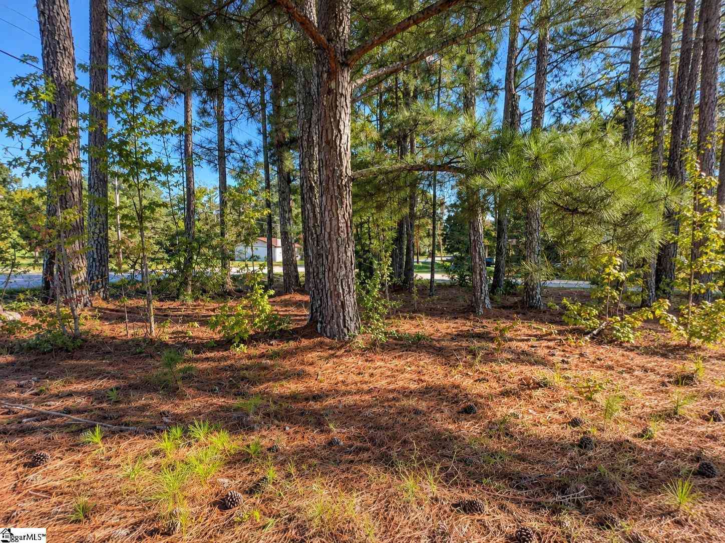 Vacant Land For Sale - 00 W Centennial<br/> Clinton, SC 29325