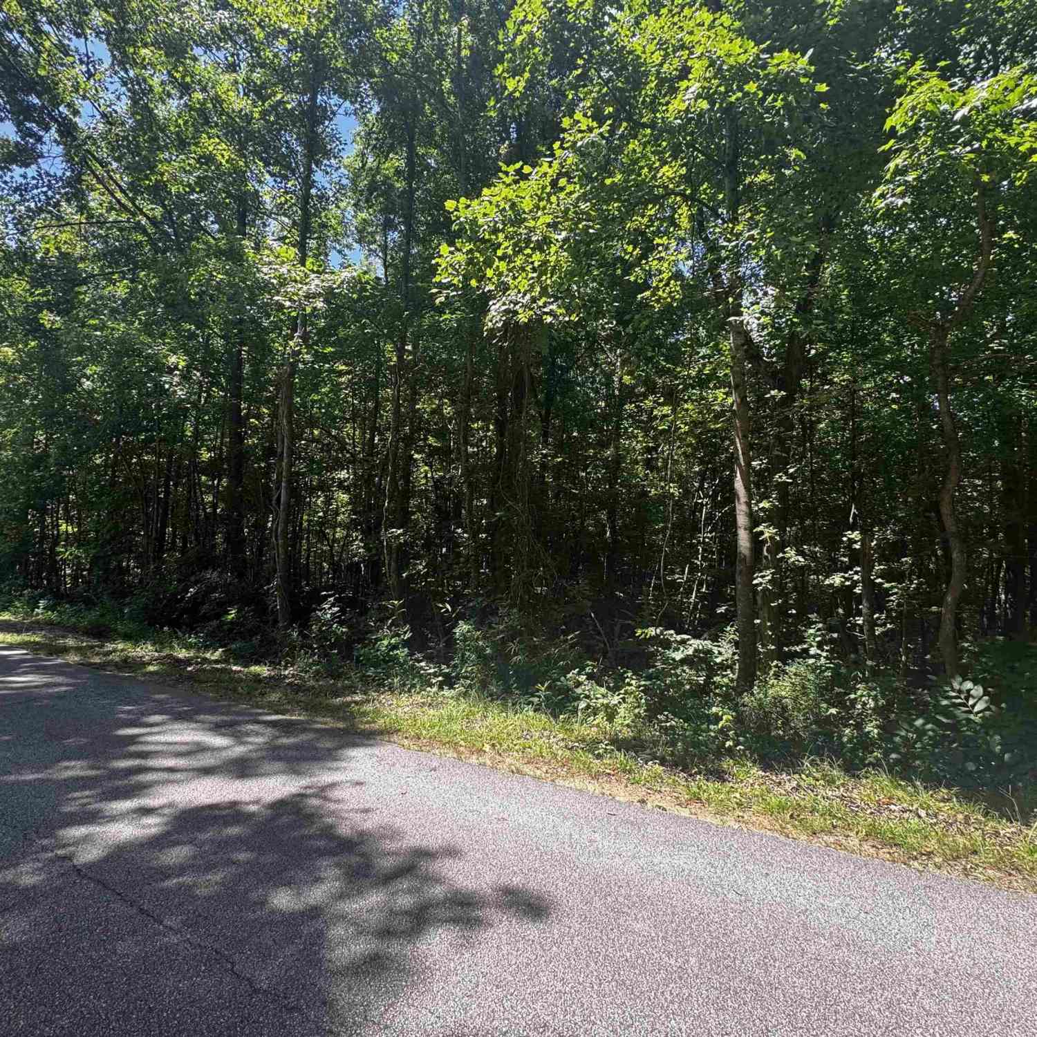 Vacant Land For Sale - 00 Fifth Avenue<br/> Clinton, SC 29325