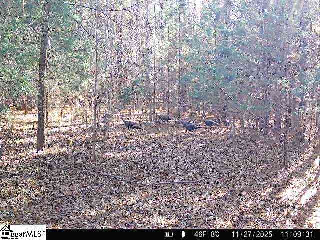 Vacant Land For Sale - 00 Simpson Mill<br/> Laurens County, Laurens, SC 29360