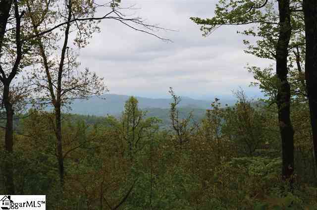Vacant Land For Sale - 122 Panther Mountain<br/> Zirconia, NC 28790