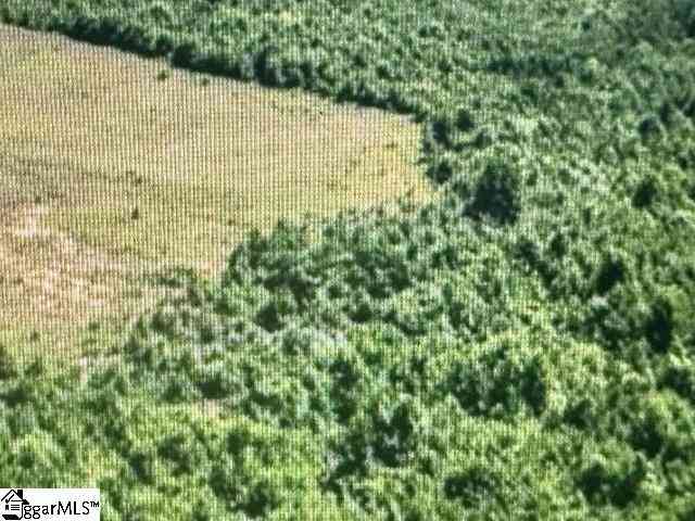 Vacant Land For Sale - 00 Mount Vernon Church<br/> Laurens, SC 29360