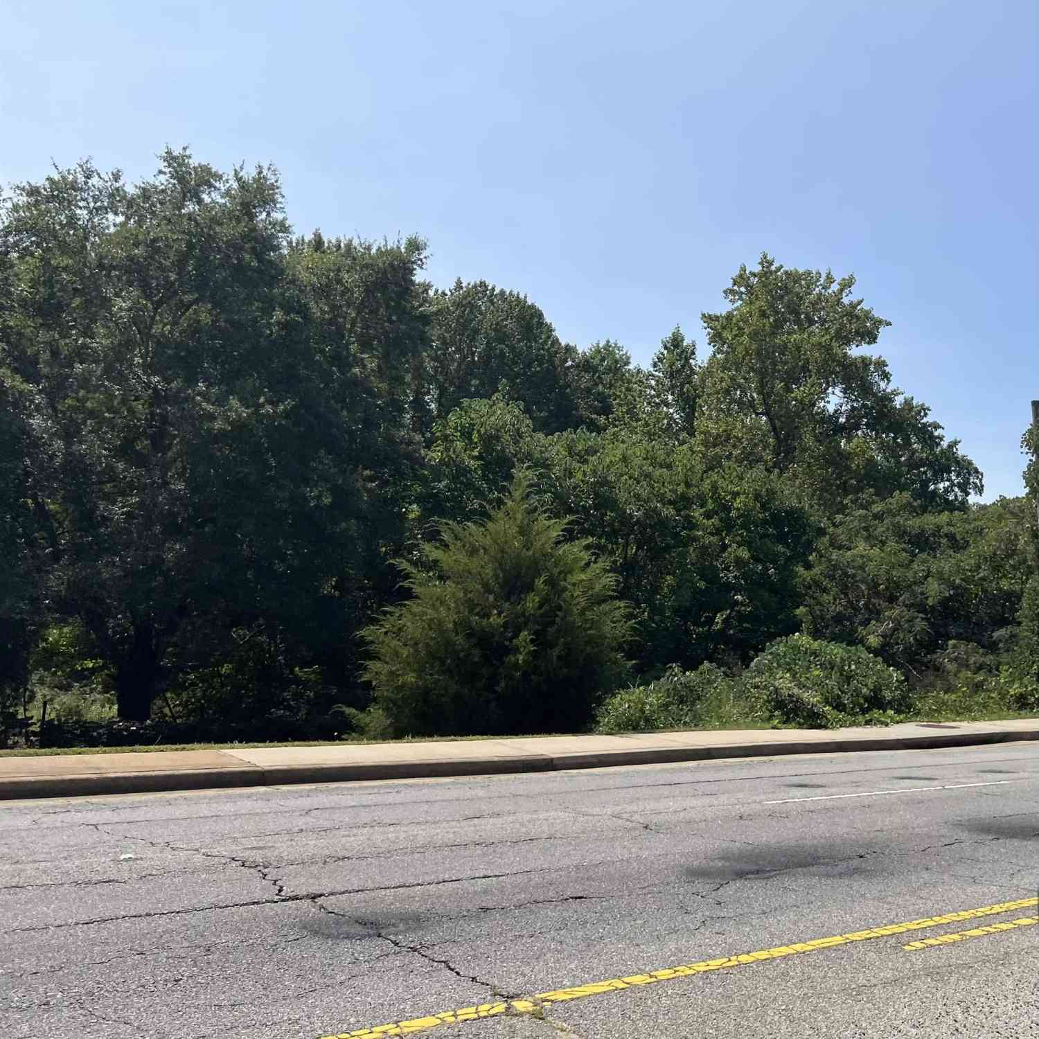 Vacant Land For Sale - 315 Gentry Memorial<br/> Pickens County, Easley, SC 29640