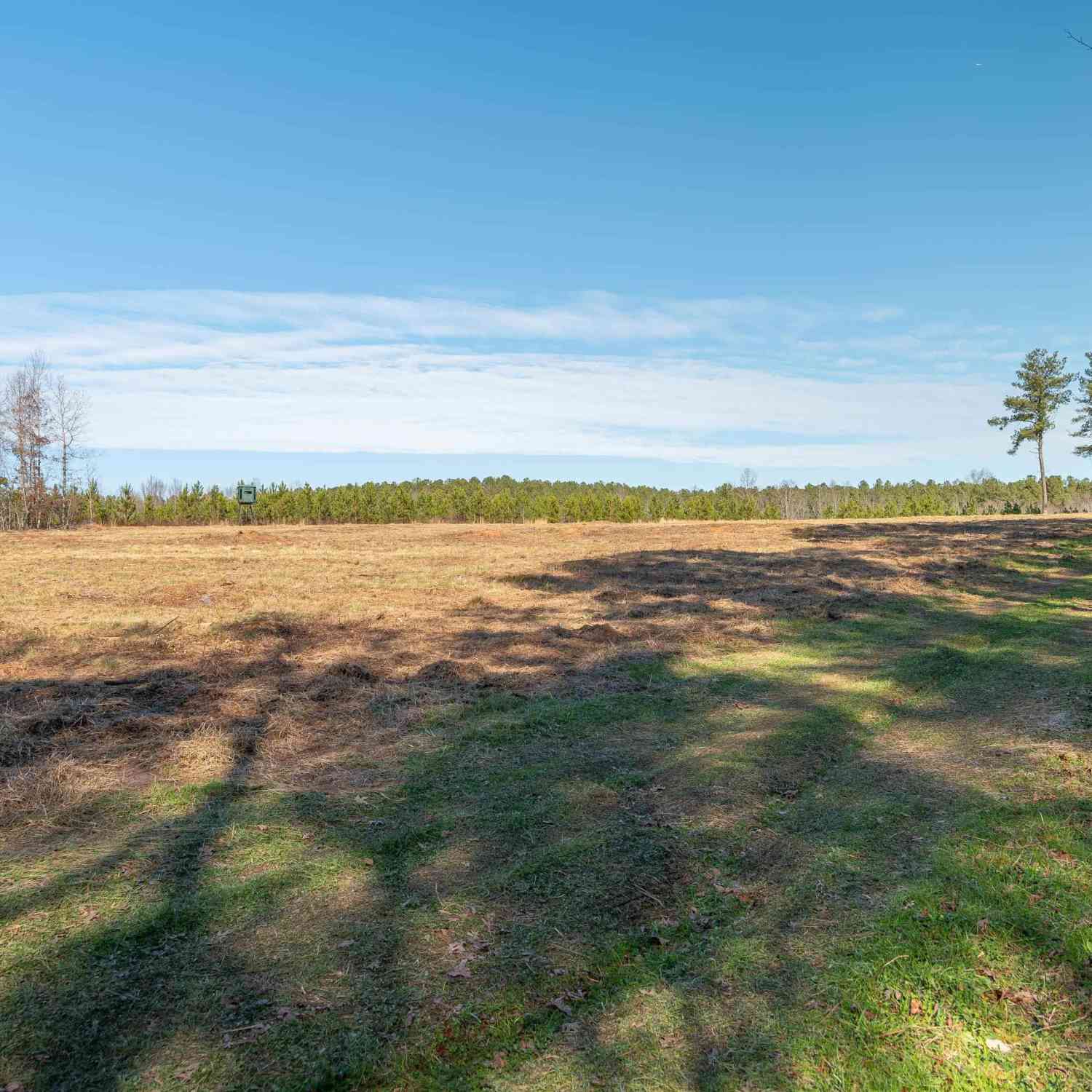 Vacant Land For Sale - 010 Mill Pine<br/> Pickens County, Liberty, SC 29657