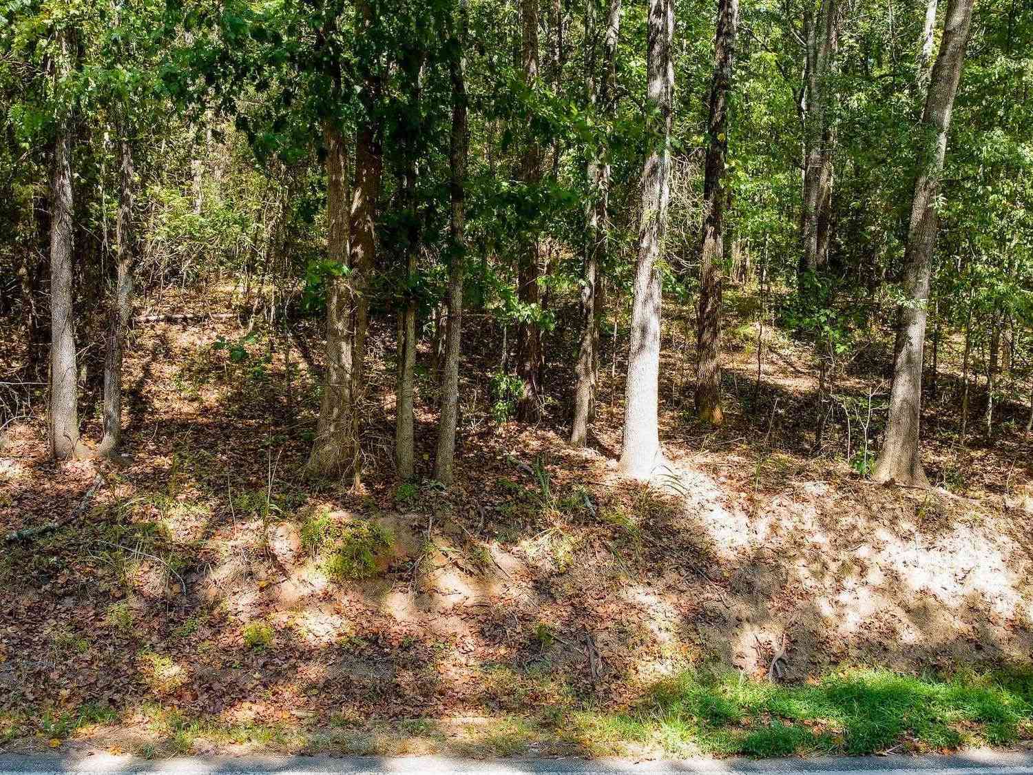 Vacant Land For Sale - LOT 17 Whiten<br/> Belton, SC 29627