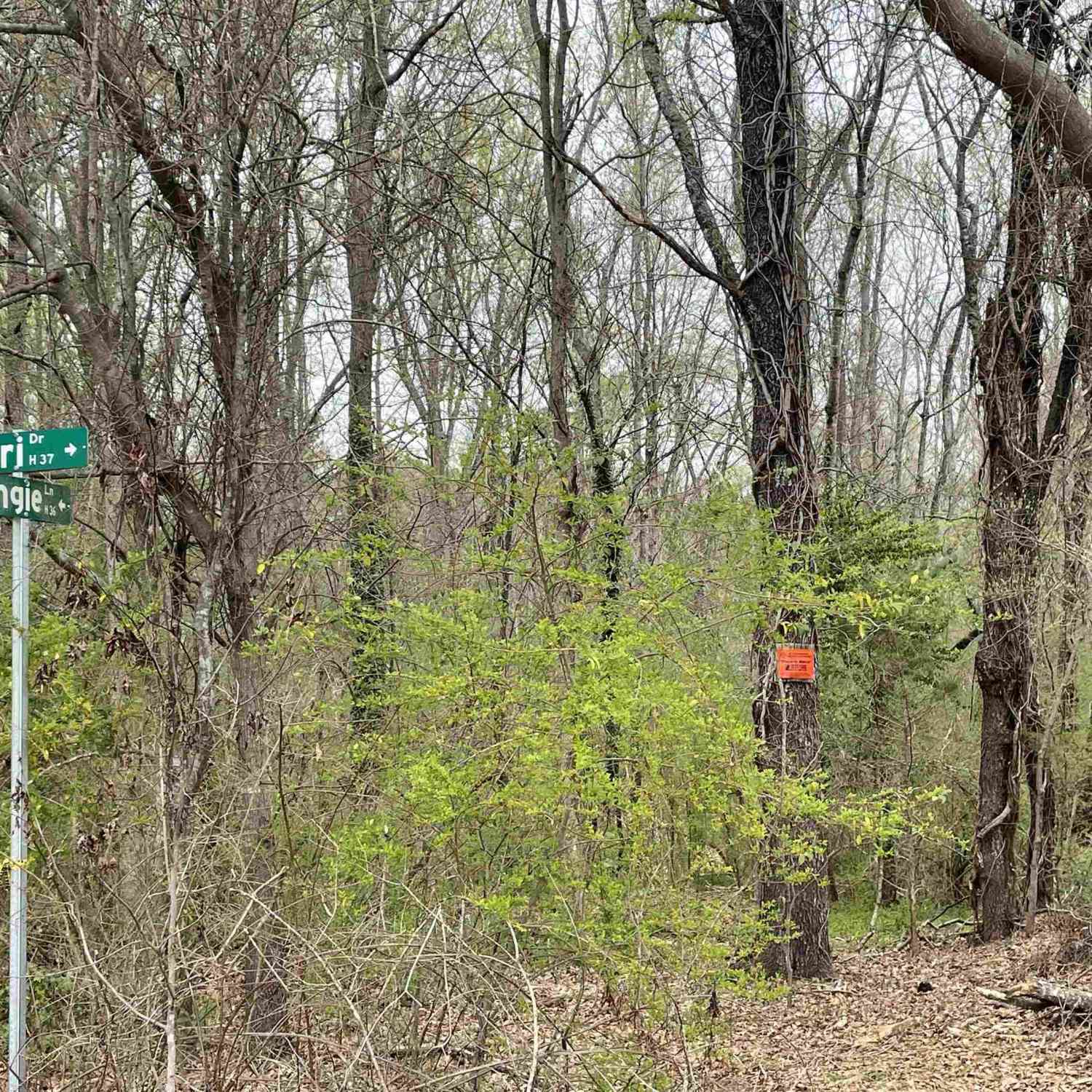 Vacant Land For Sale - 00 Highway 146<br/> Simpsonville, SC 29681