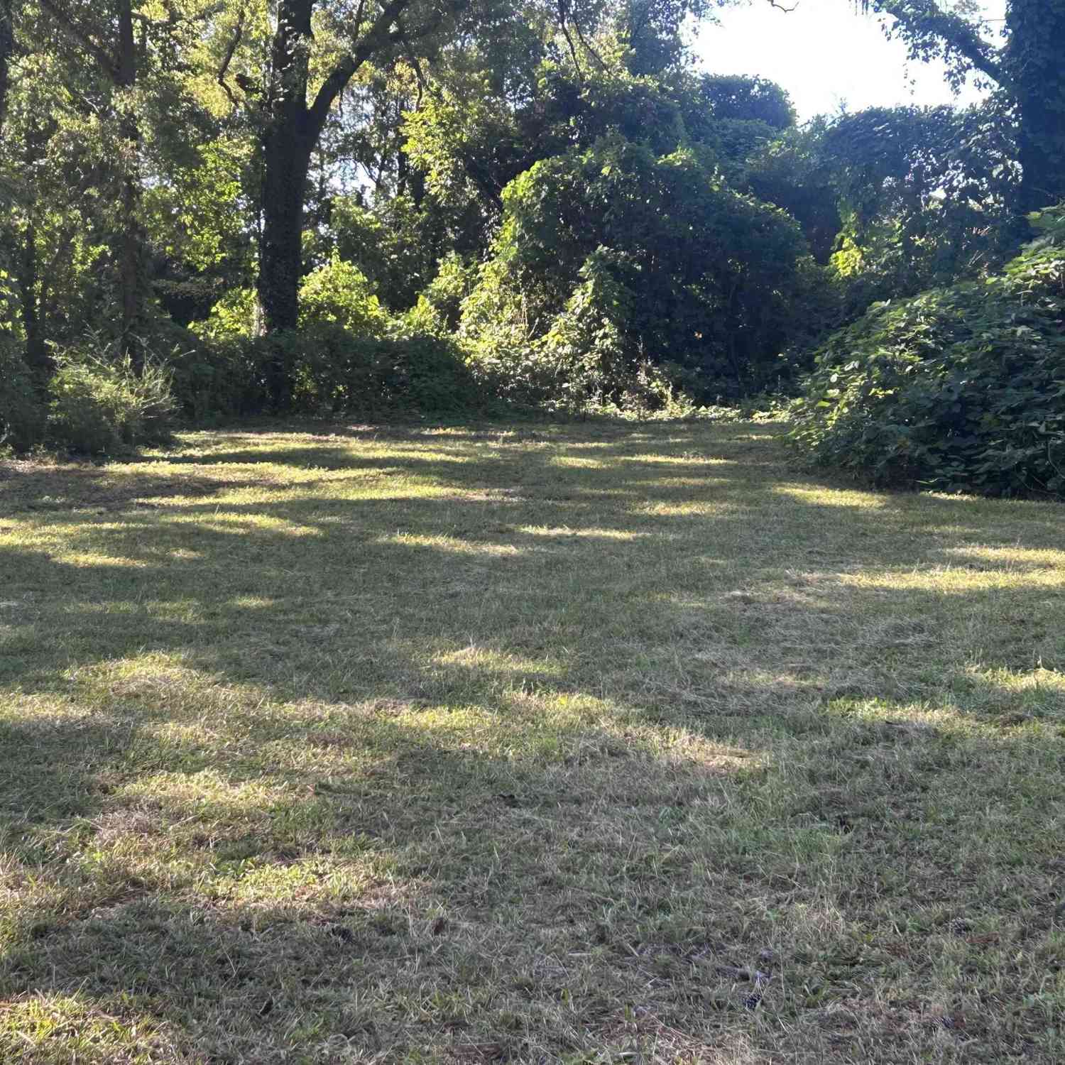 Vacant Land For Sale - 000 S Adair<br/> Clinton, SC 29325