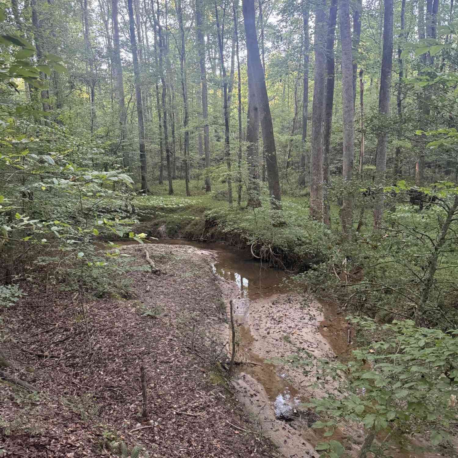 Vacant Land For Sale - 627 Daventon<br/> Honea Path, SC 29654